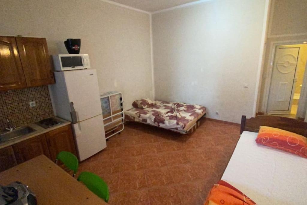 One-Bedroom Apartment photo 3