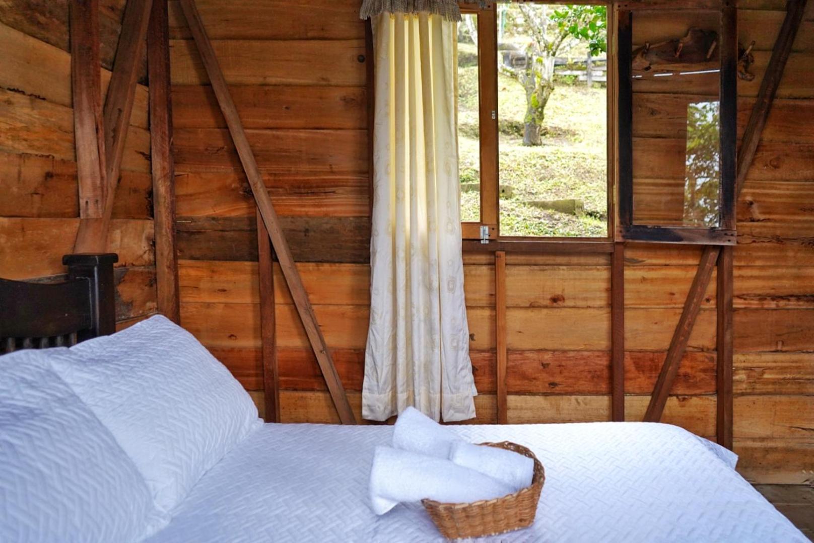 Double Room with Mountain View photo 3