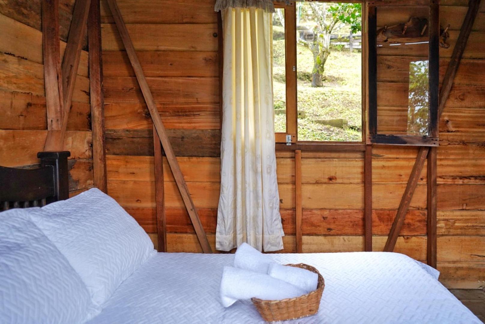 Double Room with Mountain View photo 2