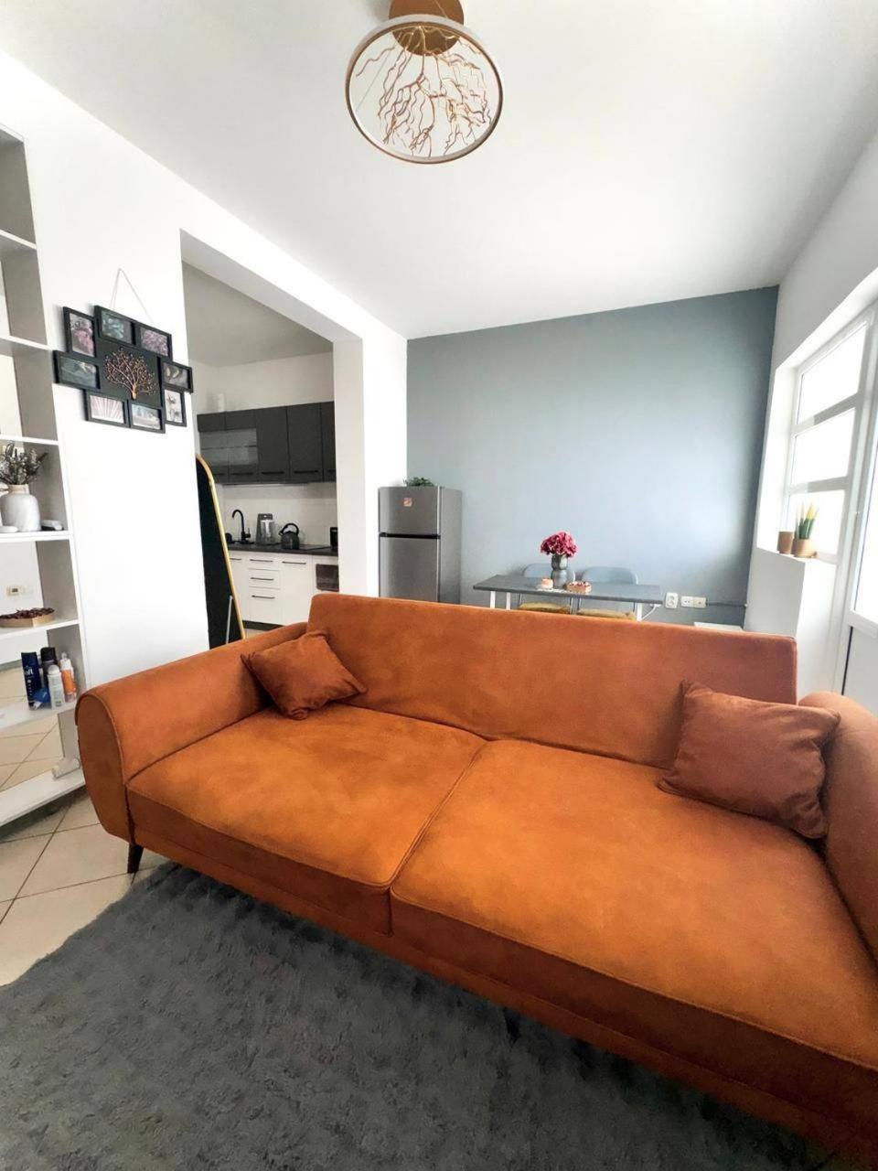 One-Bedroom Apartment photo 3
