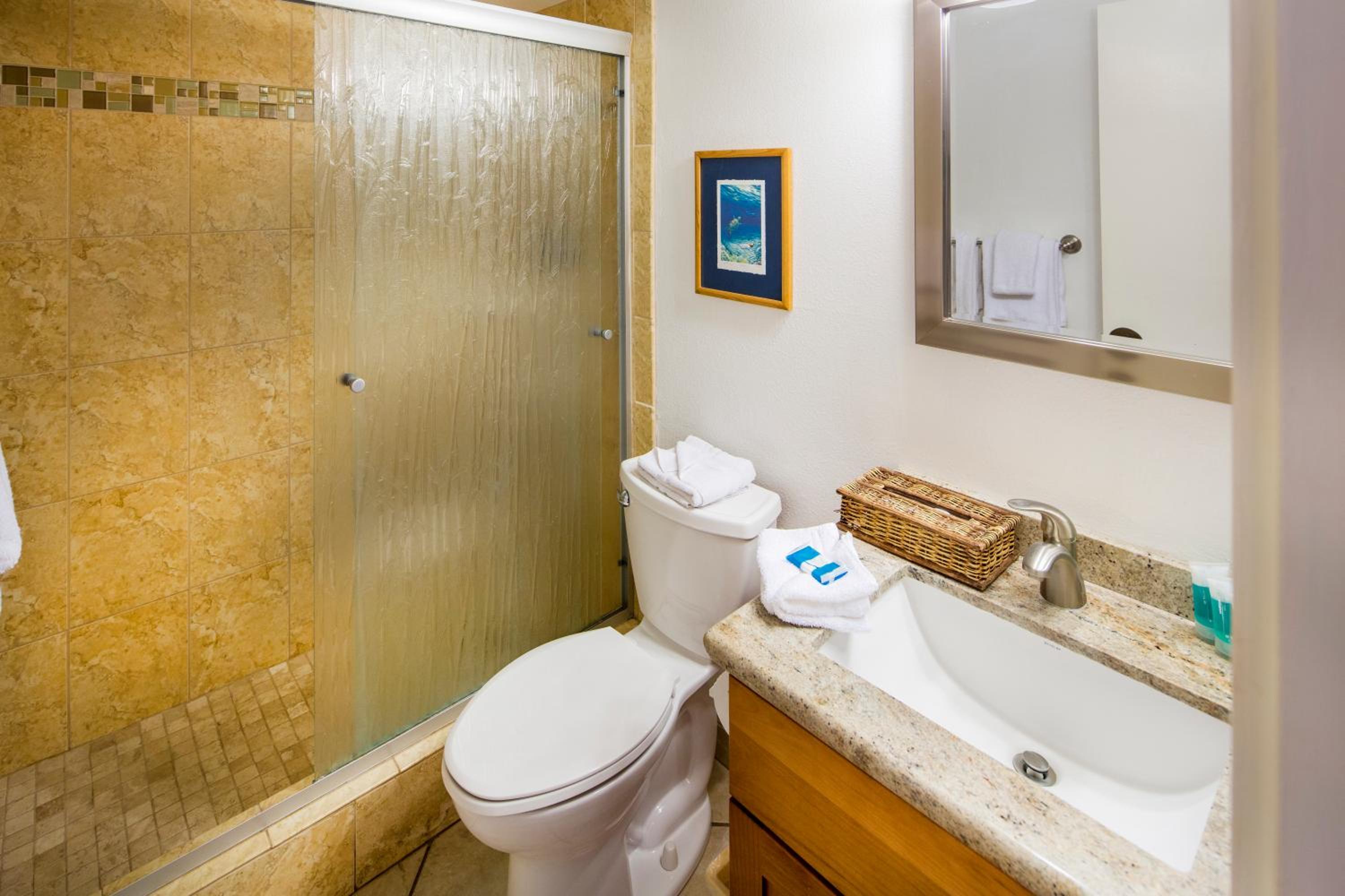 Two Bedroom Standard Suite photo 3