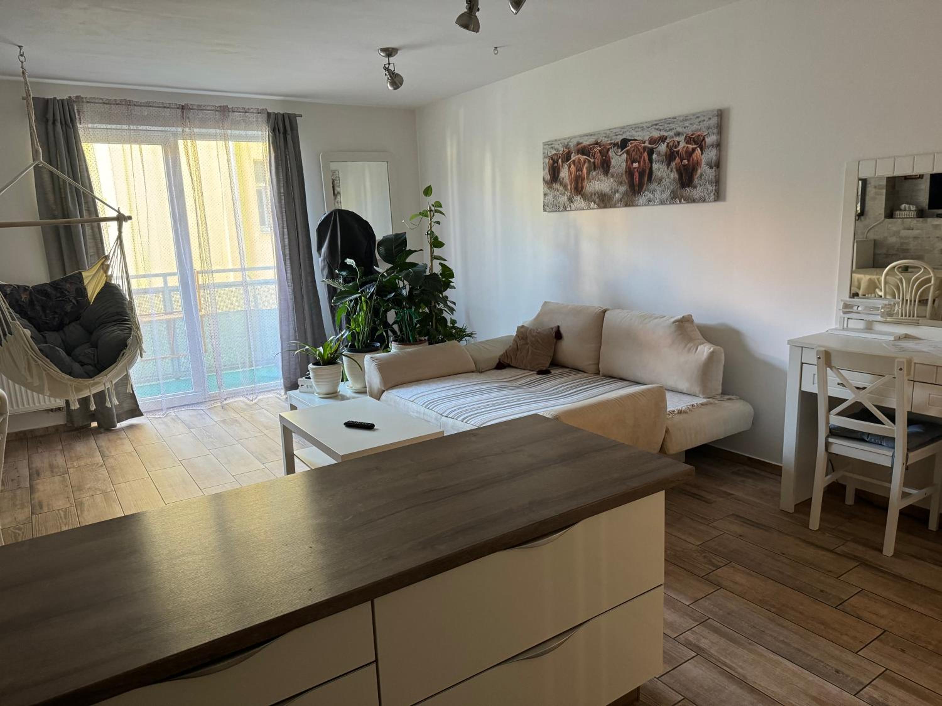 Apartment with Balcony photo 2