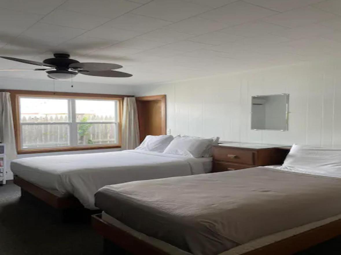 Room 5 - One Double and One Single Bed  photo 2