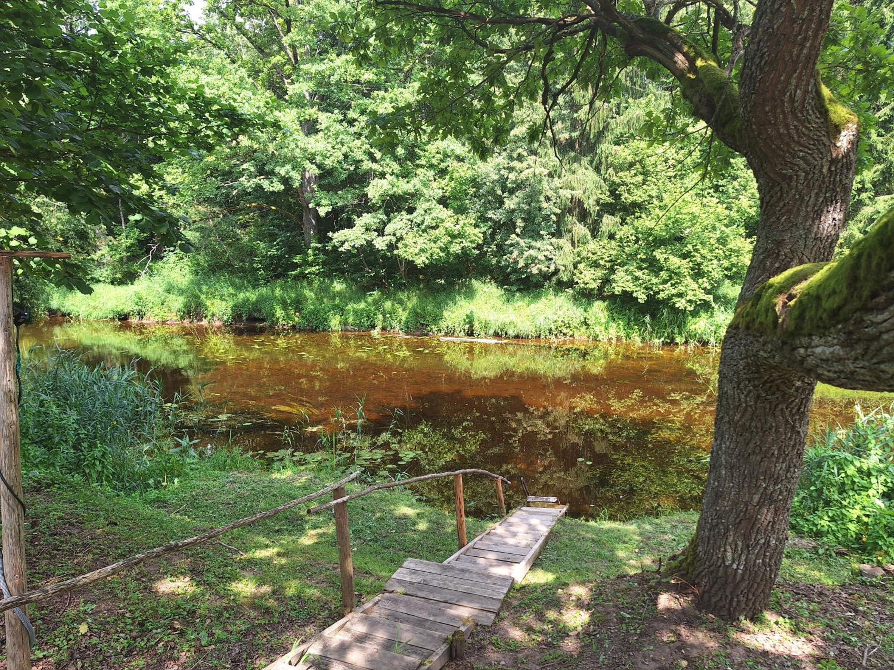 Vacation Home - Photo 44