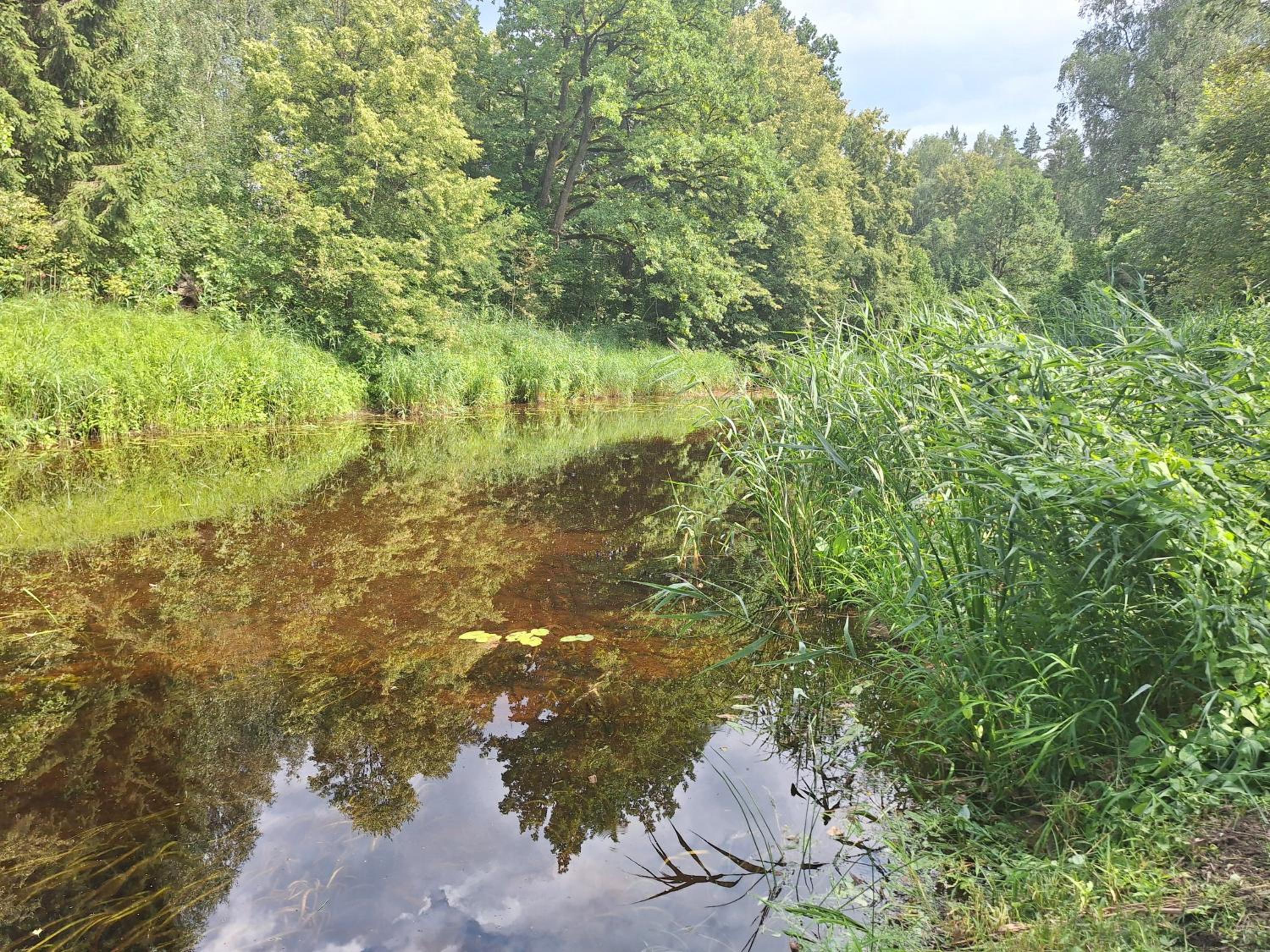 Vacation Home - Photo 47