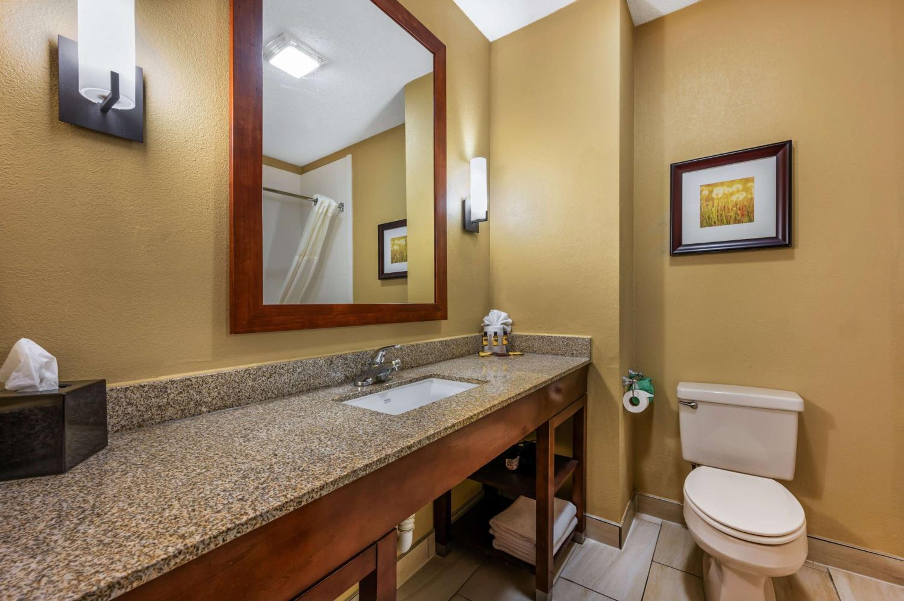One-Bedroom King Suite with Sofa Bed and Kitchenette photo 2