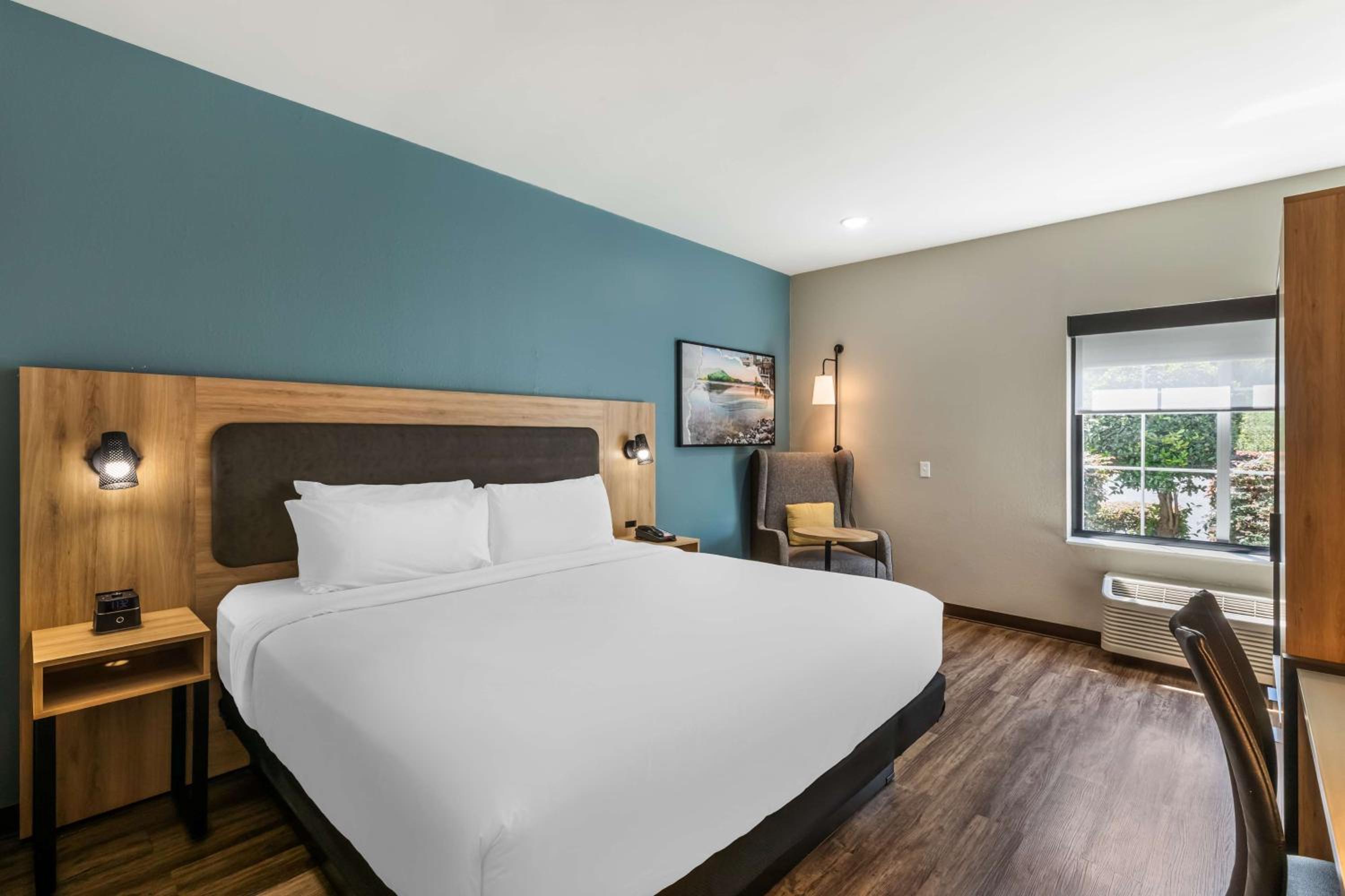 King Room With Roll-In Shower - Mobility Accessible photo 1