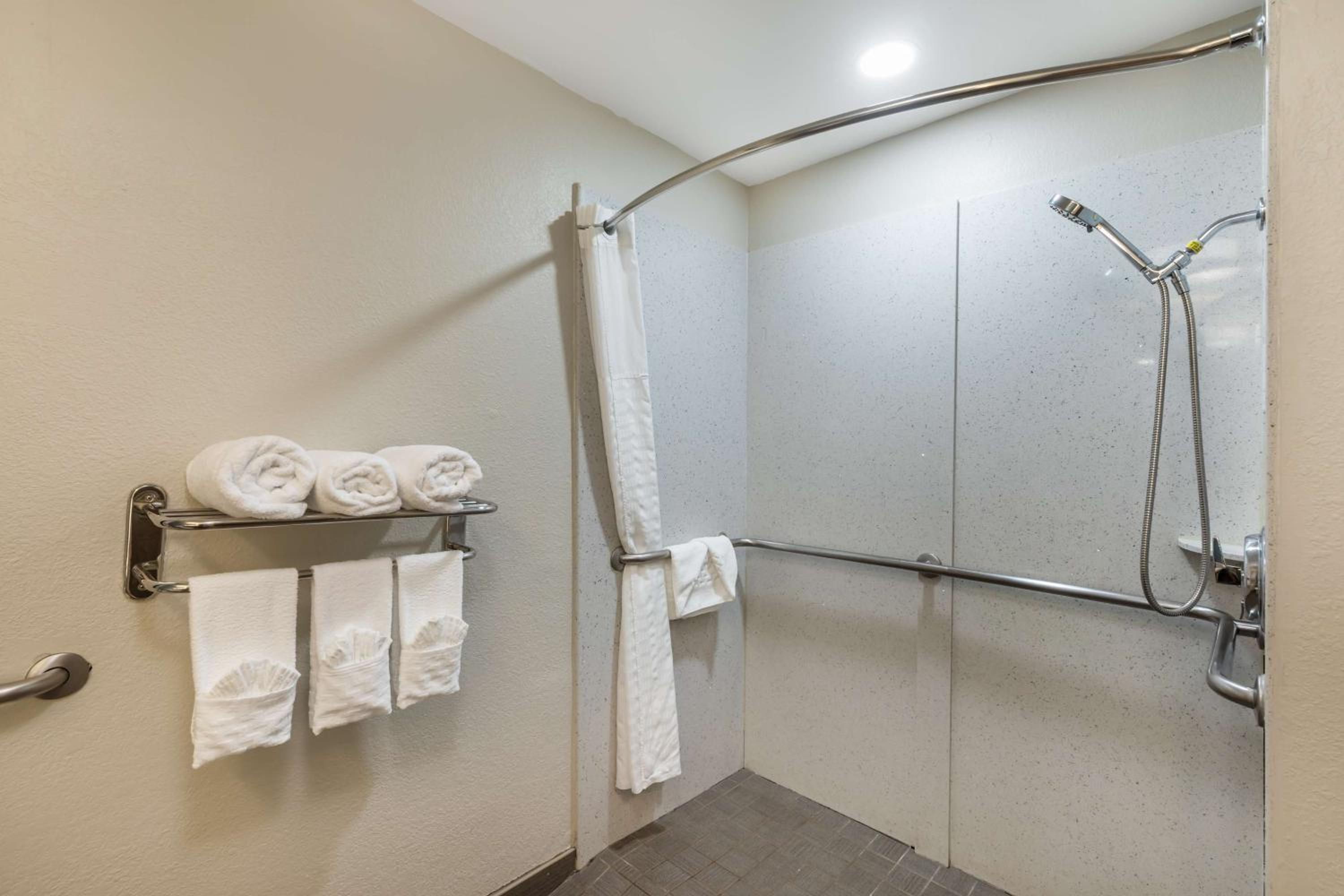 King Room With Roll-In Shower - Mobility Accessible photo 3