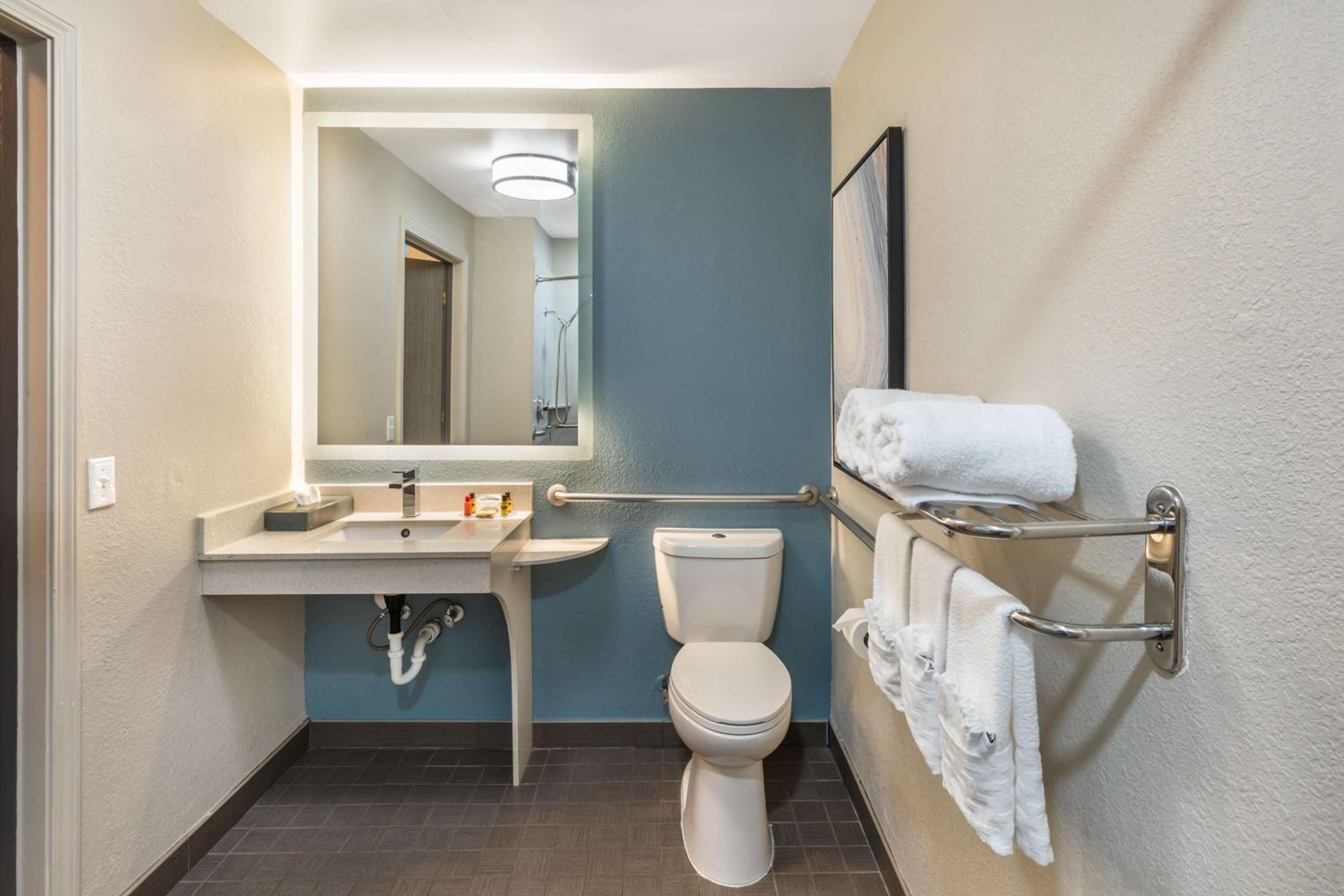 King Room With Roll-In Shower - Mobility Accessible photo 2