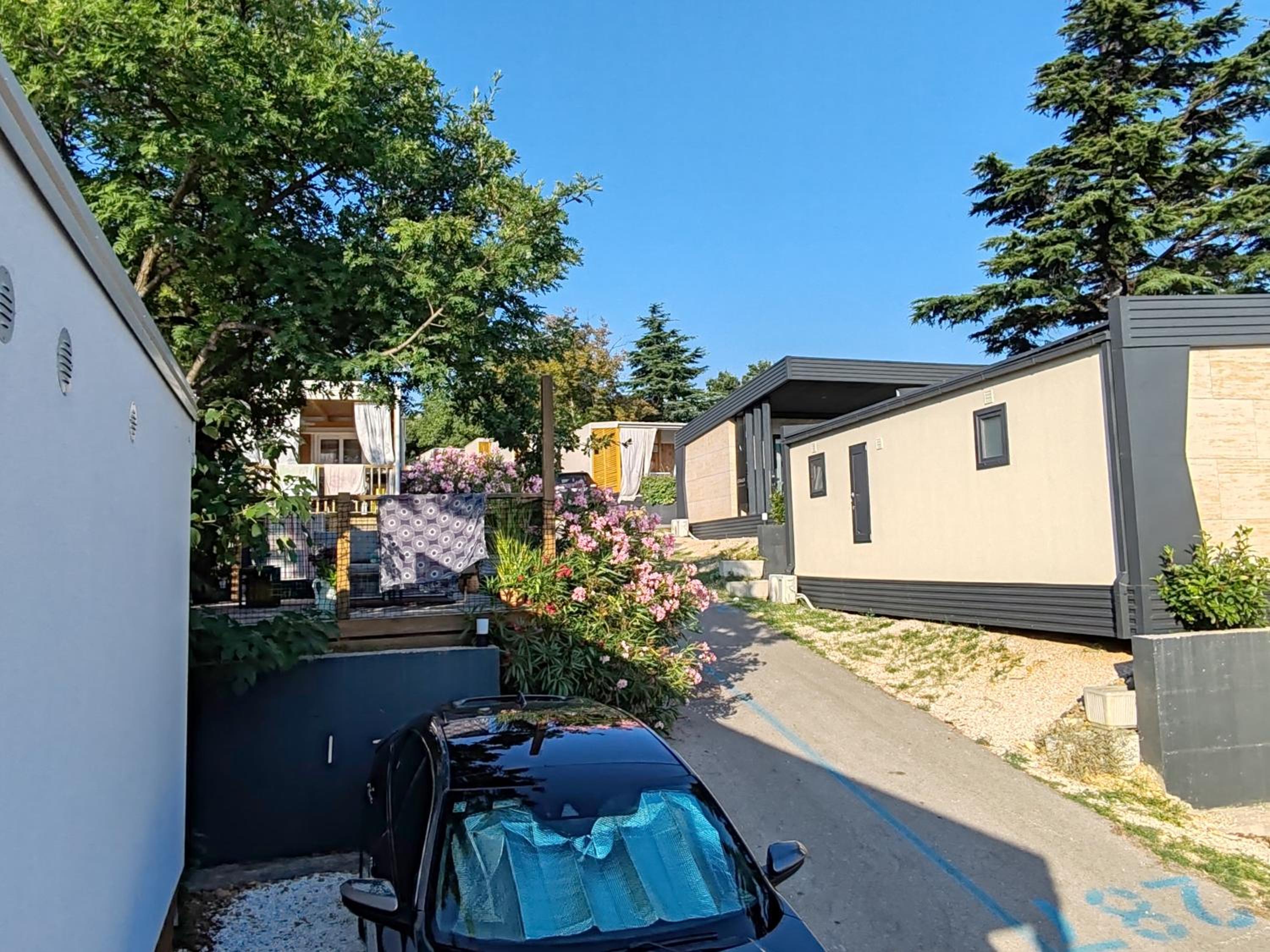 Mobile Home photo 2