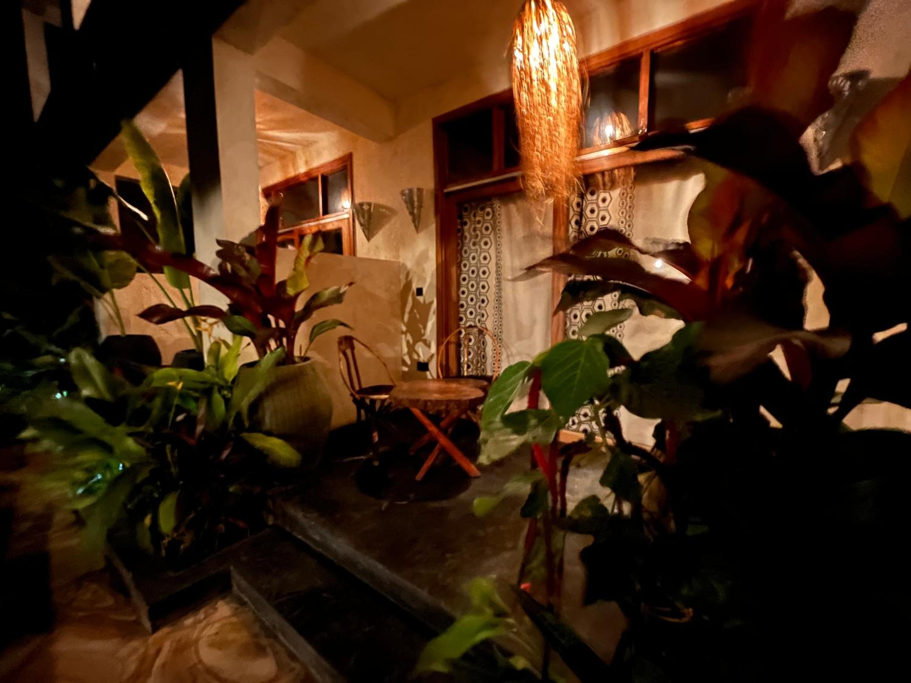 Deluxe King Room photo 3