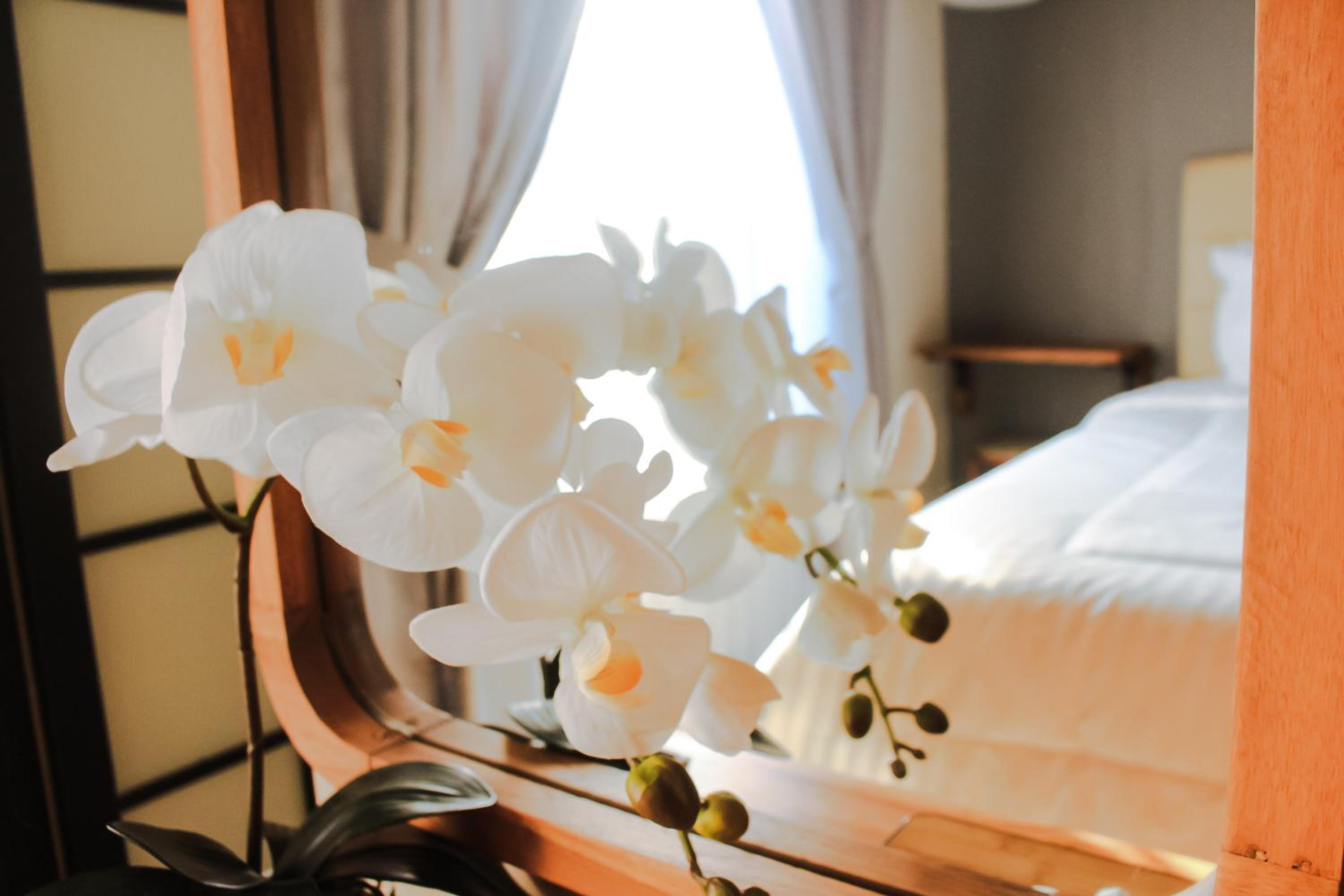 Deluxe Room - Photo 5