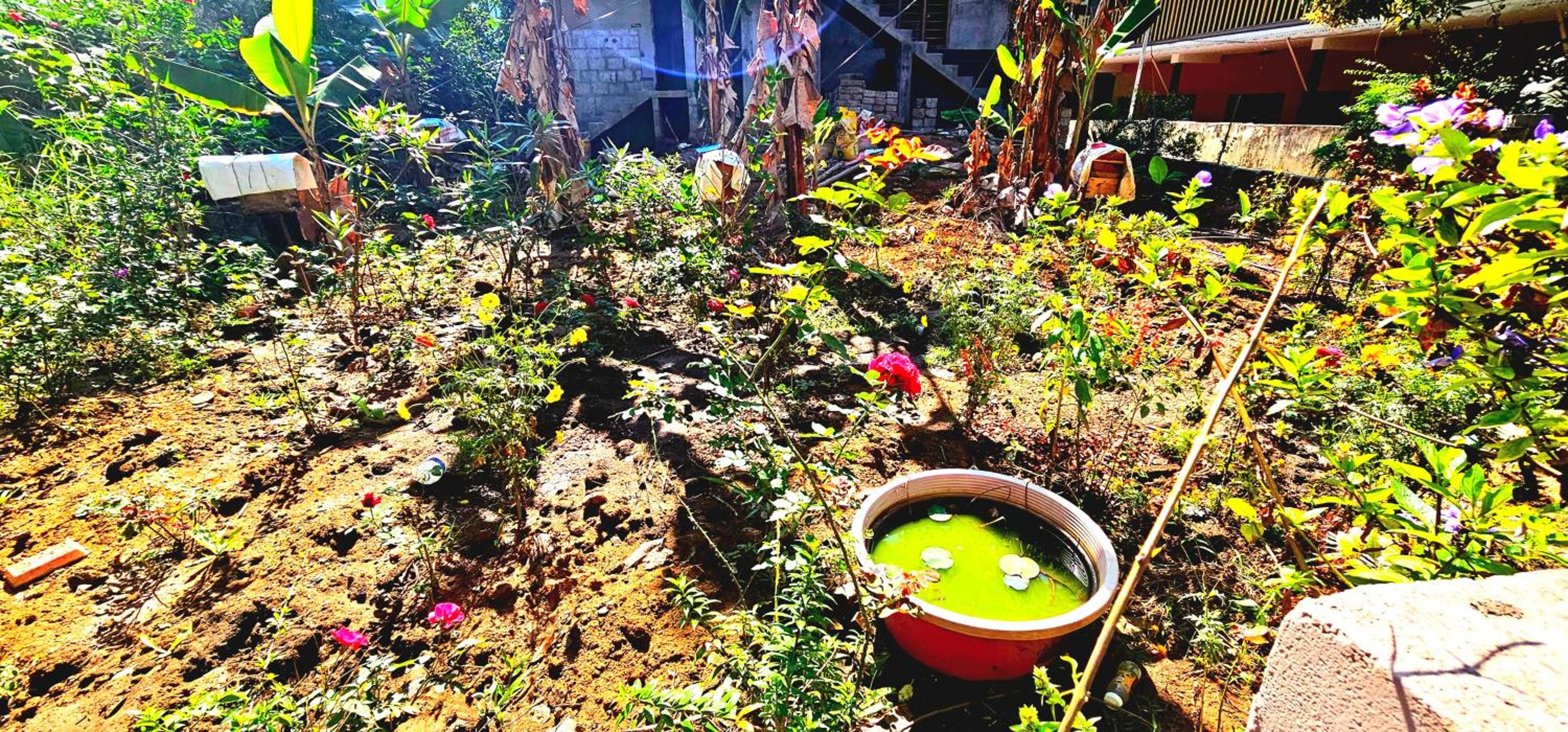 Villa with Garden View photo 2