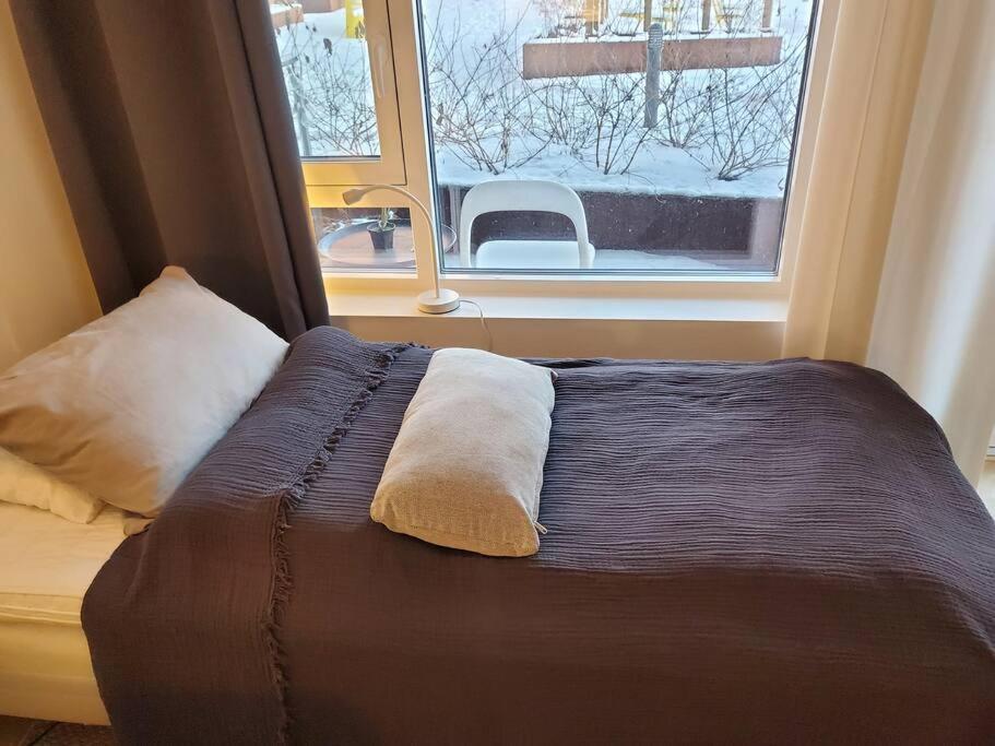 One-Bedroom Apartment photo 3