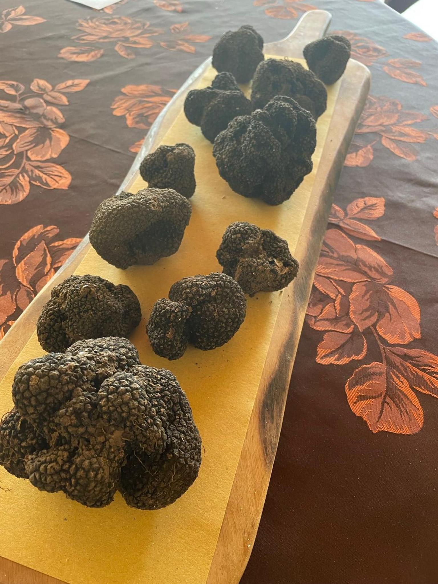 Agri-alloggio le Poscole Al Canton, Billede 6