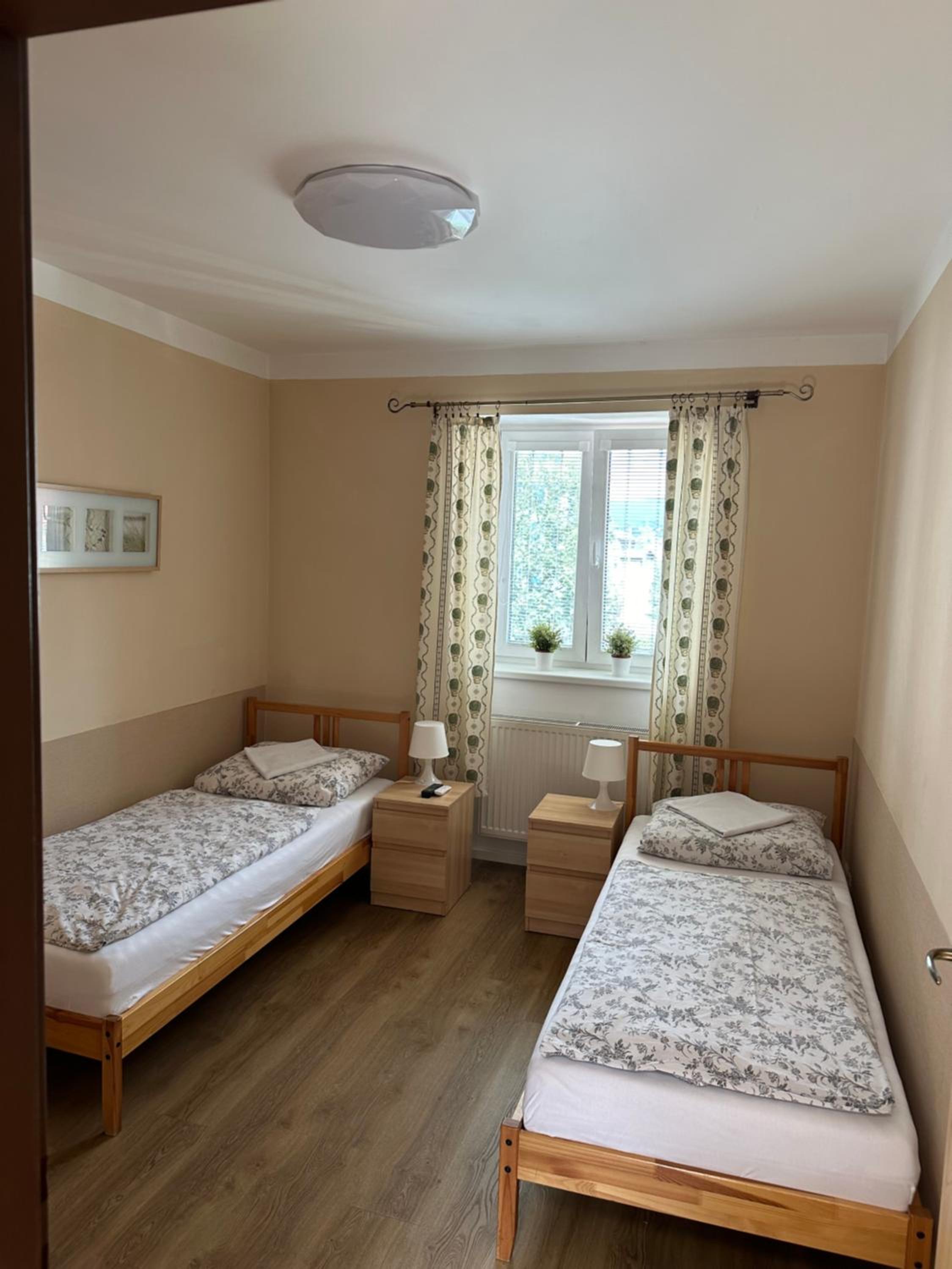 Twin Room photo 3