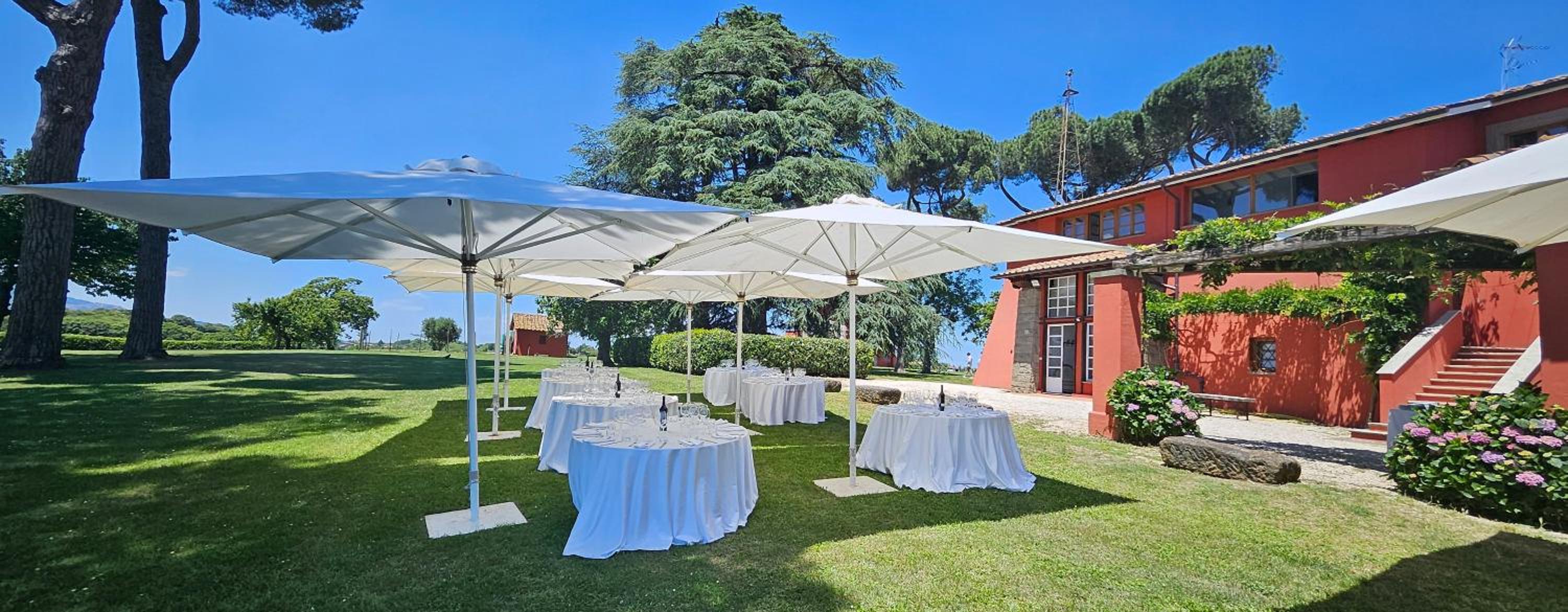 Superior Villa photo 3