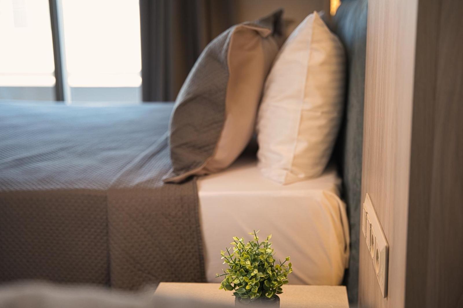 Standard Suite with Panoramic View photo 3
