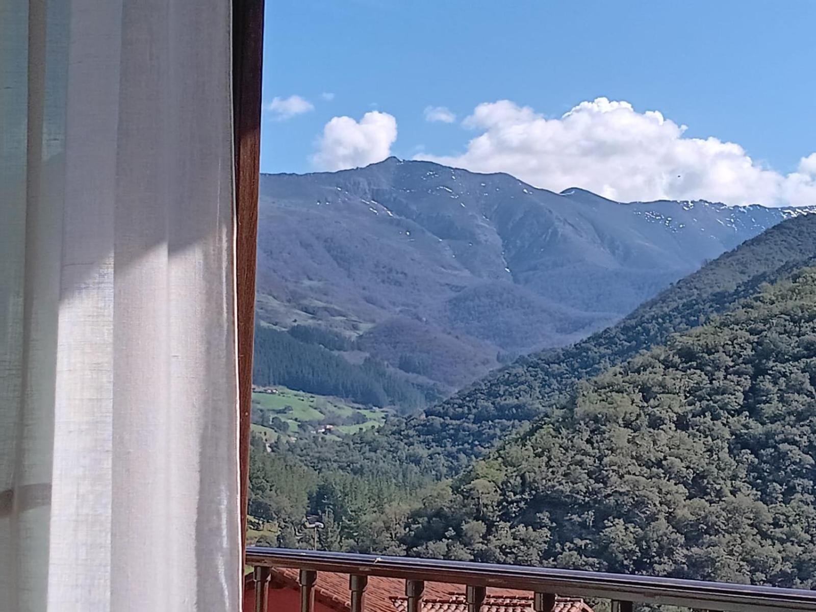 Junior Suite with Mountain View photo 2