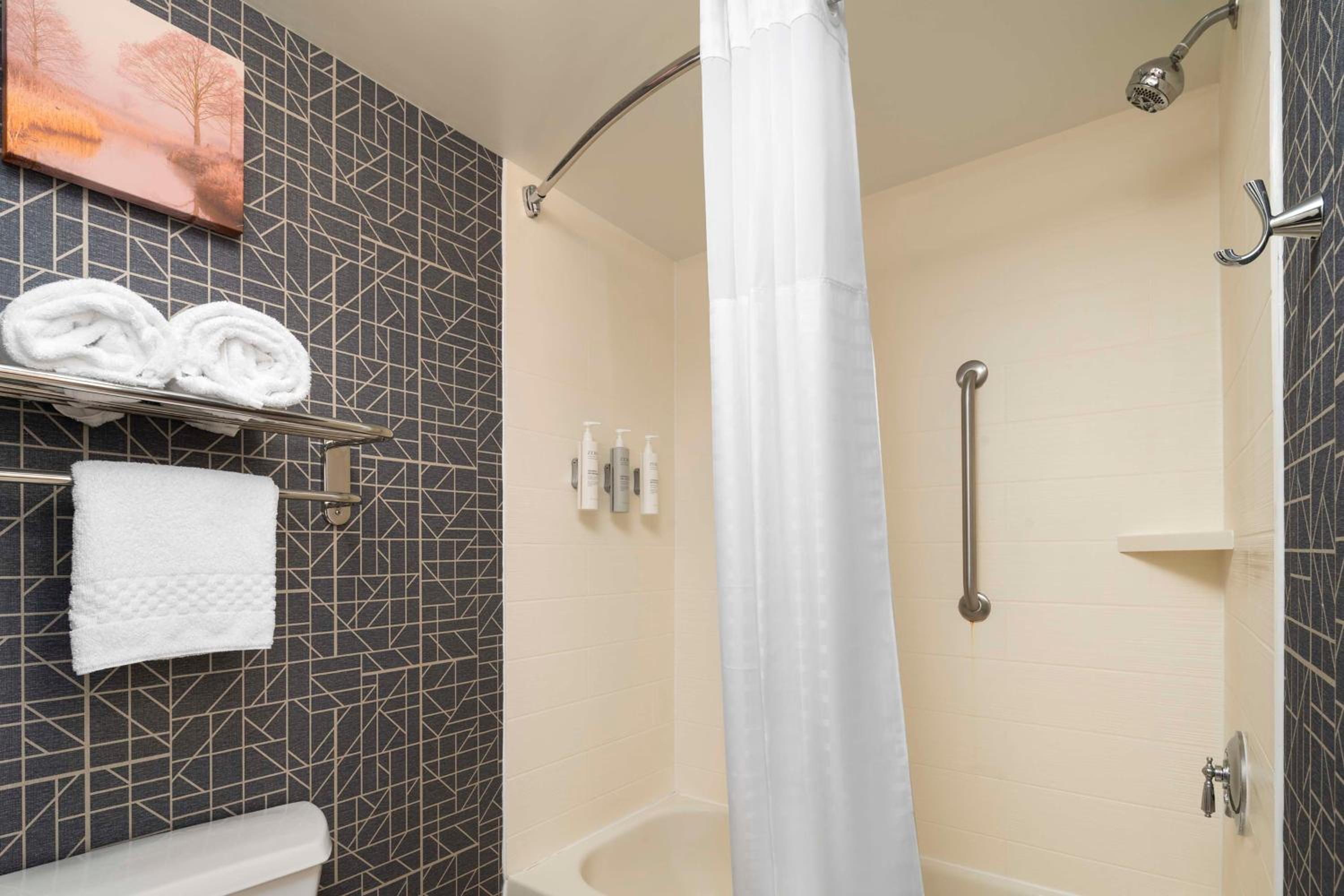 One-Bedroom King Suite - Non-Smoking - Photo 8