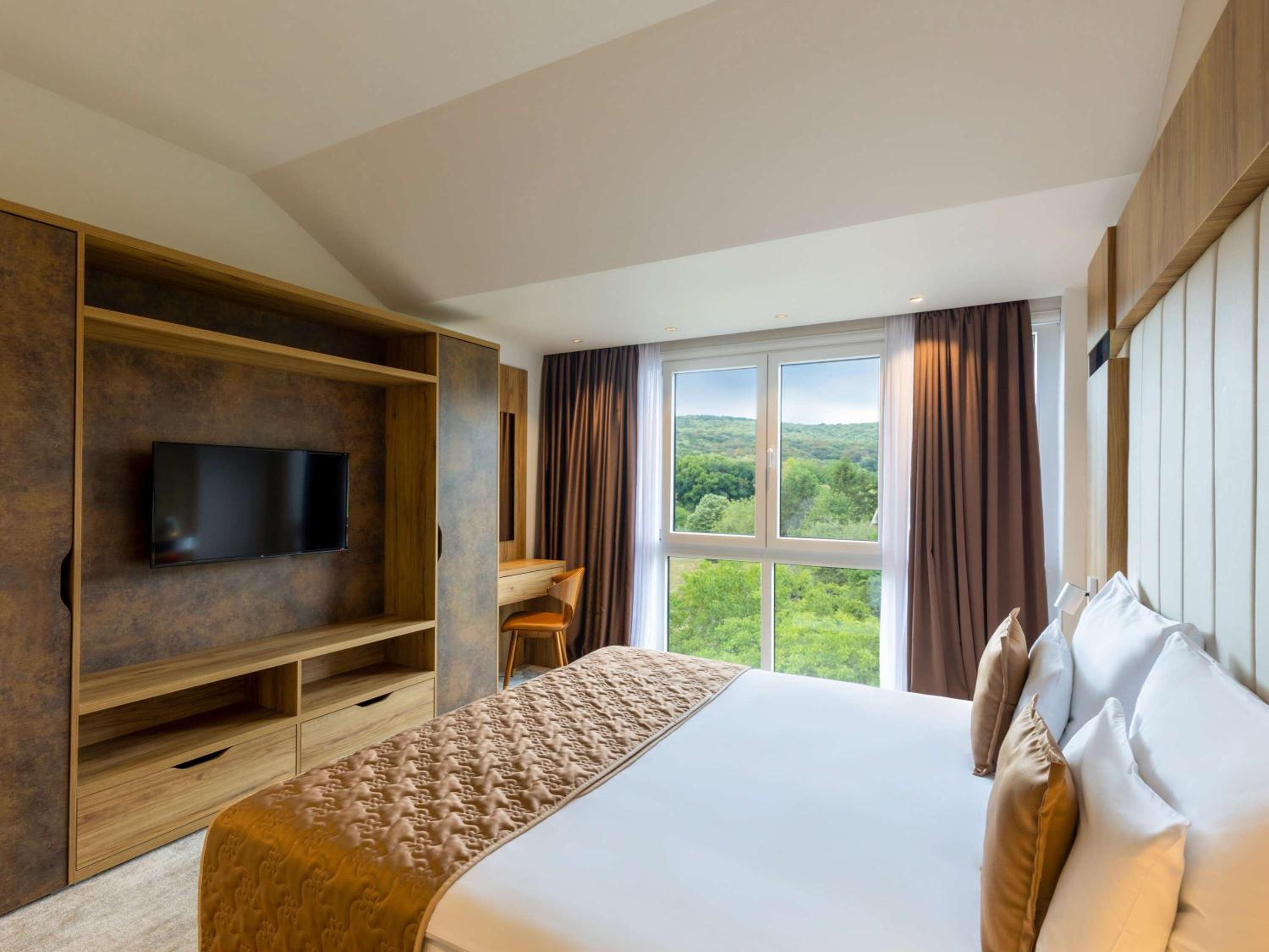 Superior Suite with One King Bed and Balcony - Photo 1