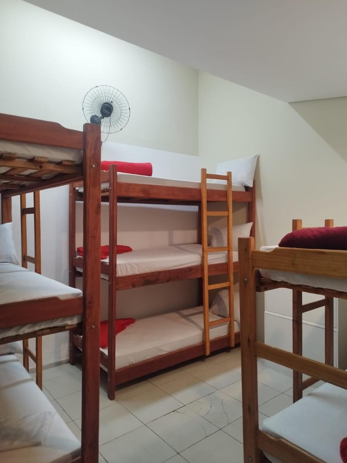 Bunk Bed in Mixed Dormitory Room photo 2