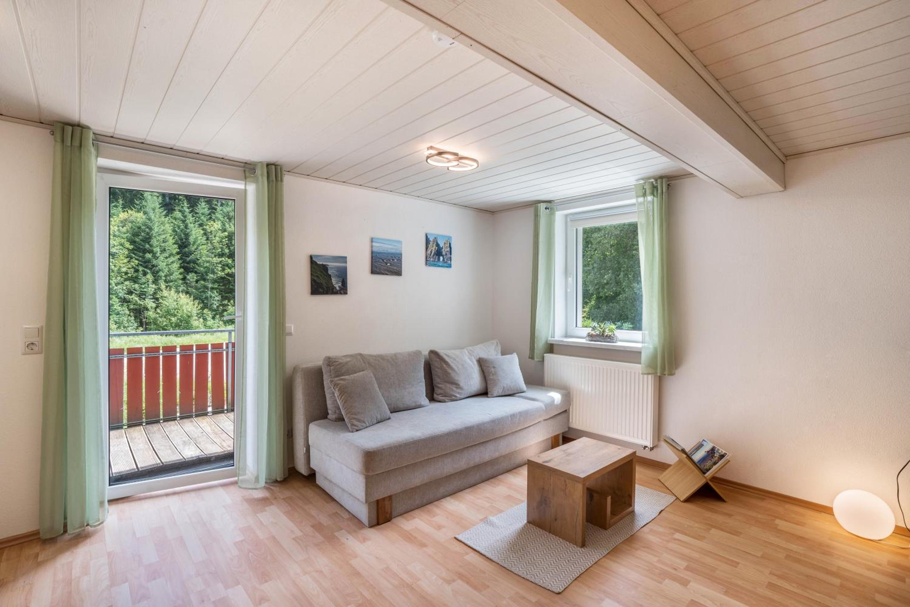 Superior One-Bedroom Apartment with Balcony