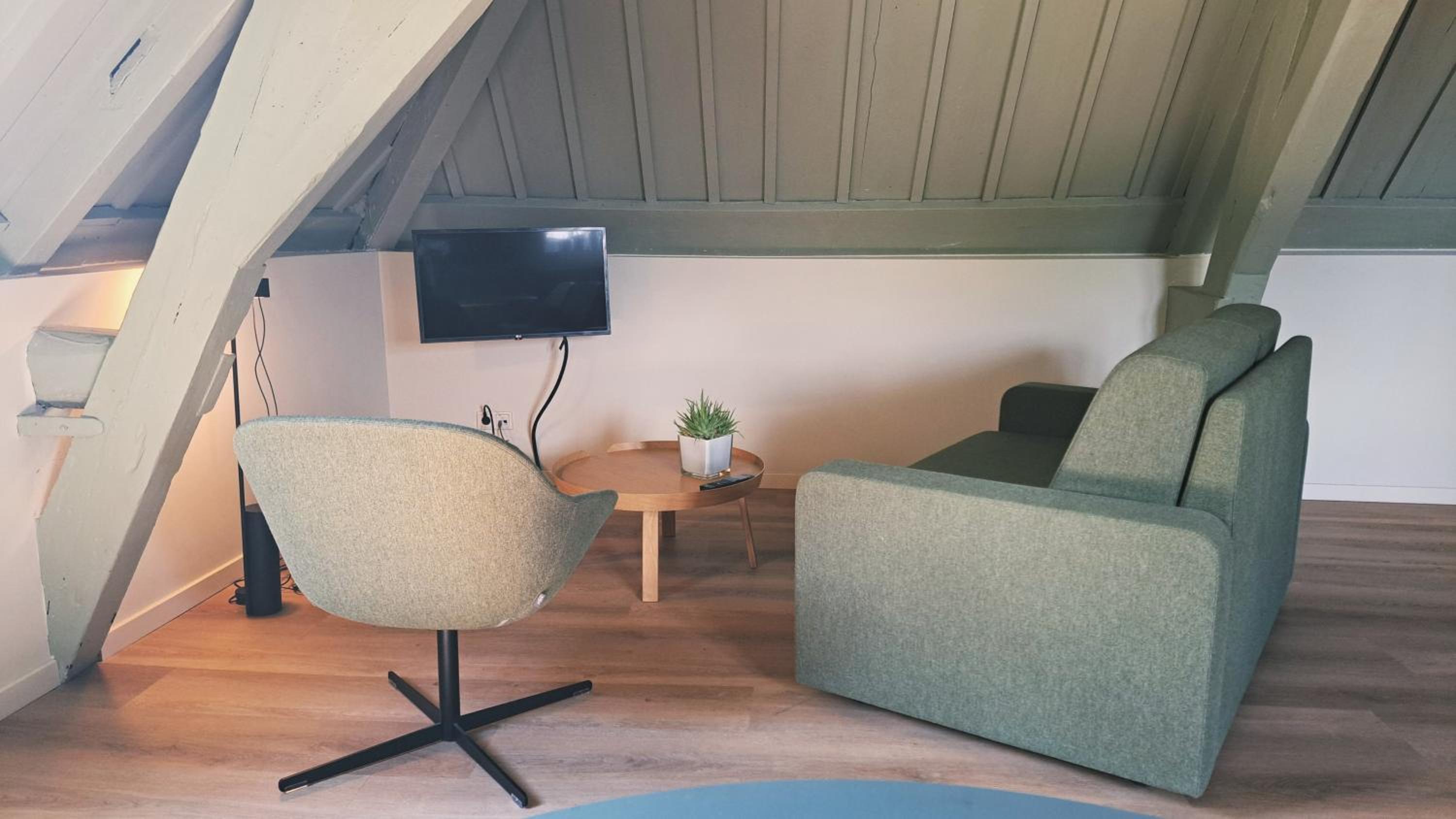 Studio with Sofa Bed photo 3