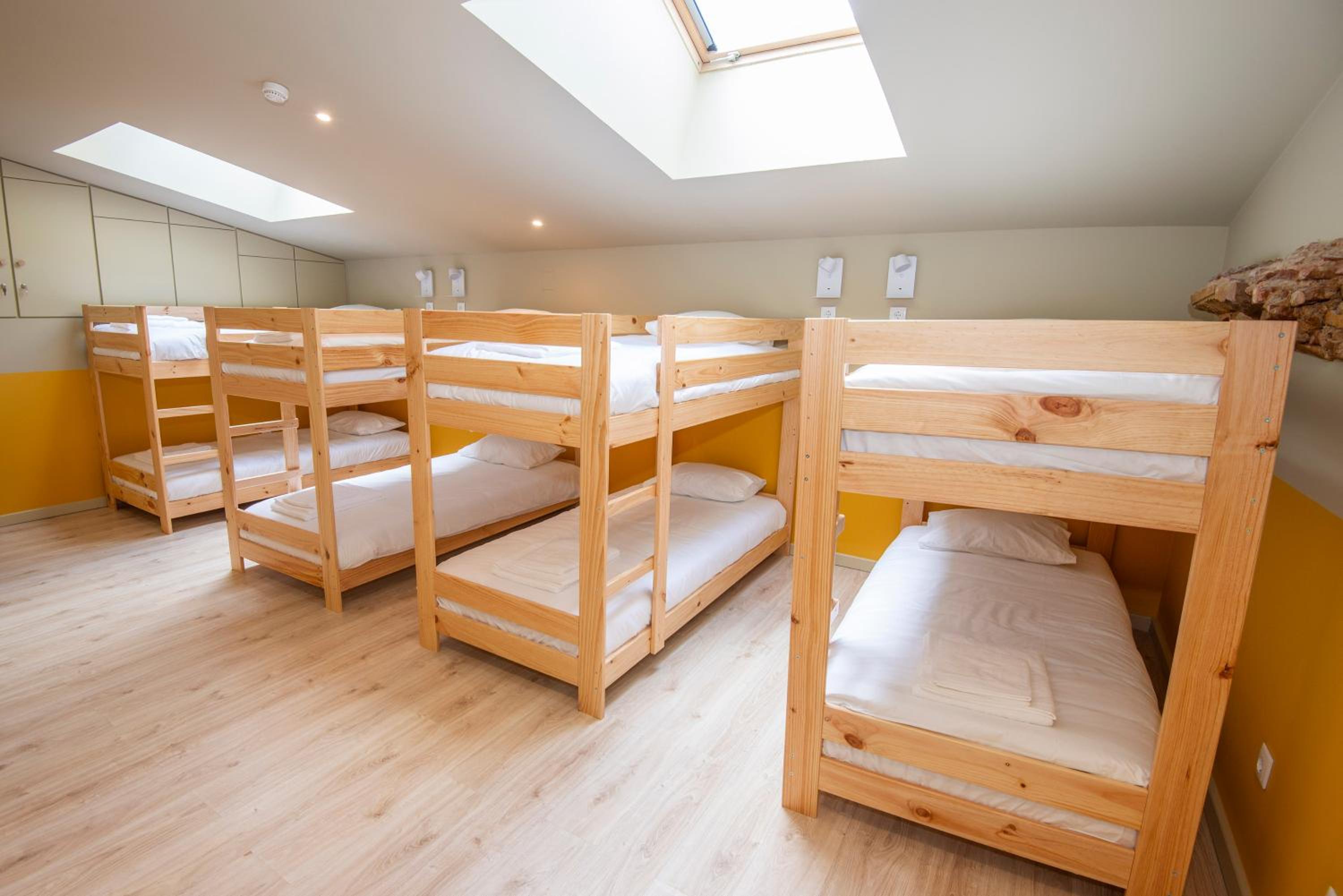 Single Bed in Female Dormitory Room photo 3
