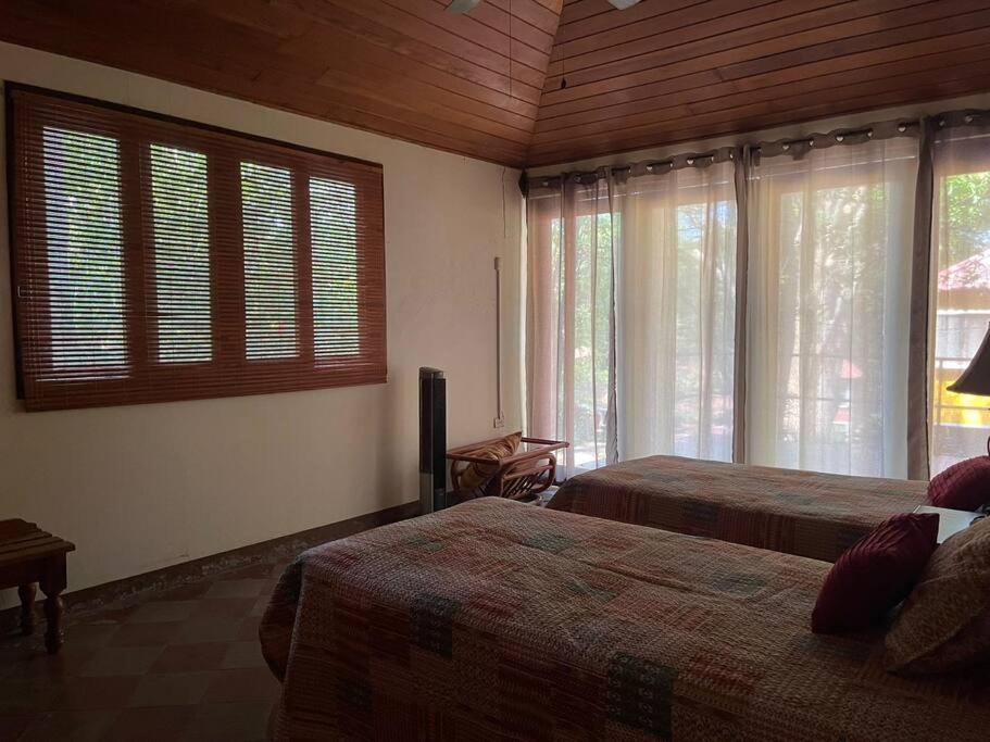 One-Bedroom House photo 2