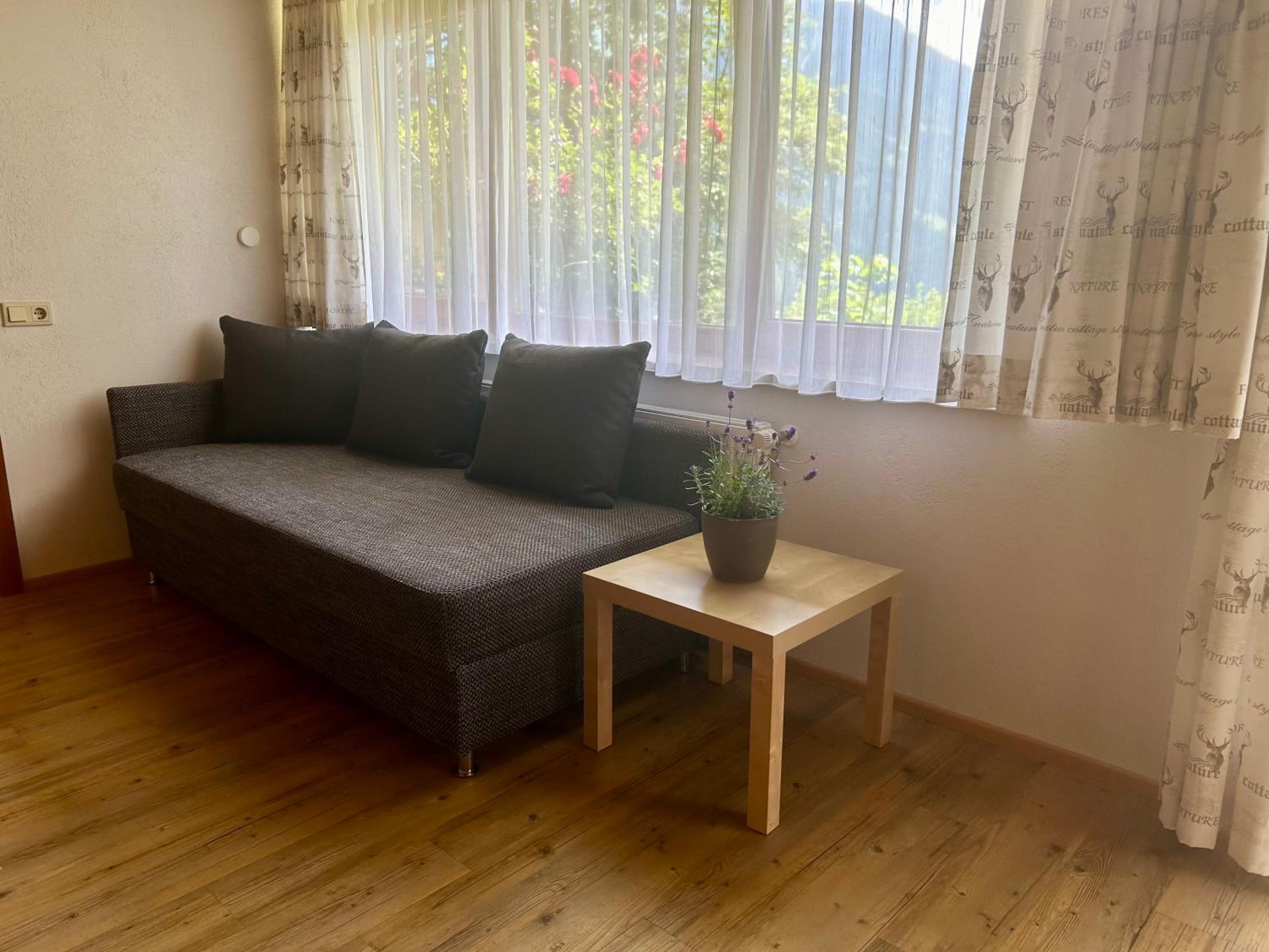 One-Bedroom Apartment with Terrace photo 1