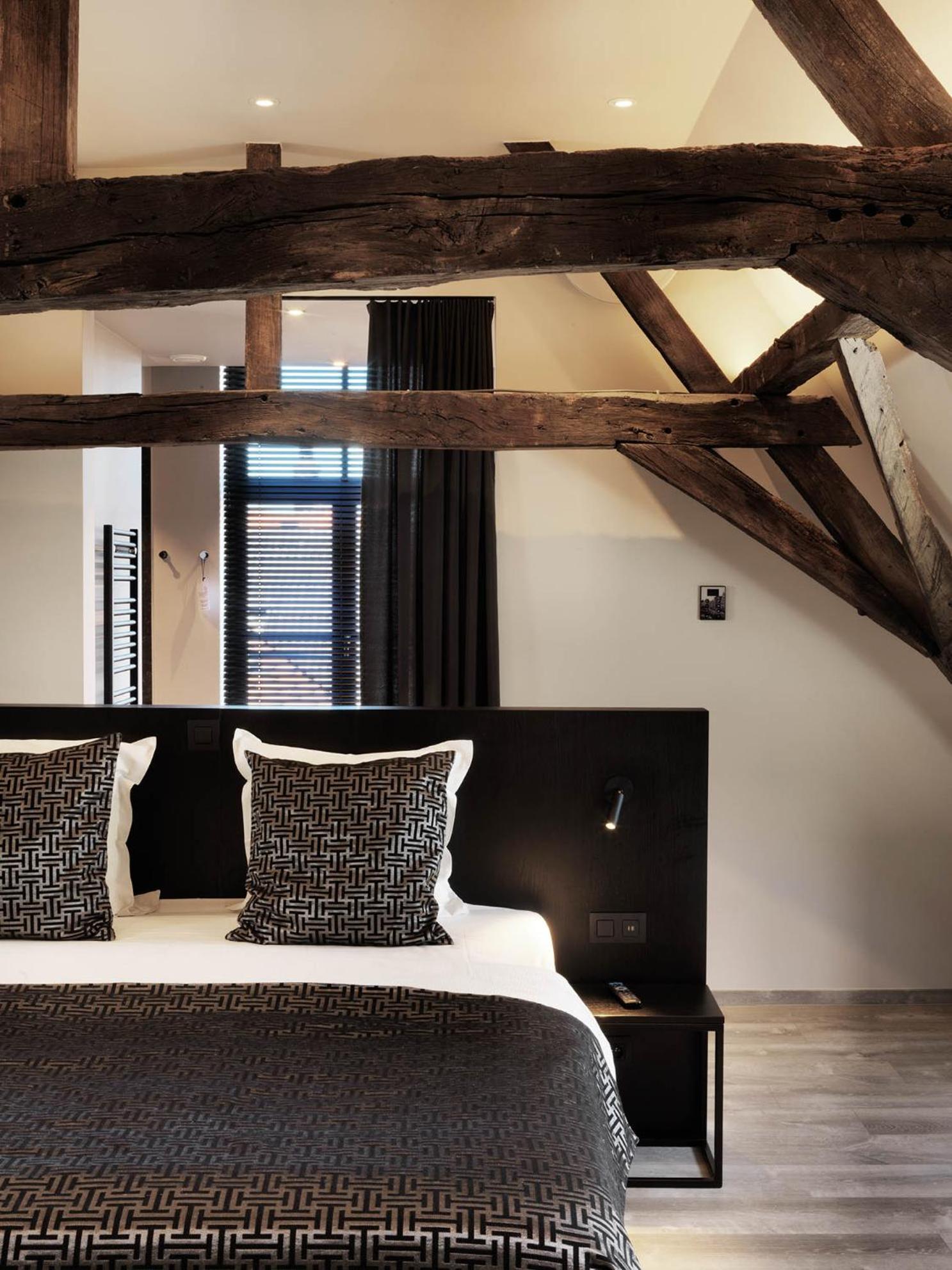 Suite - Photo 3