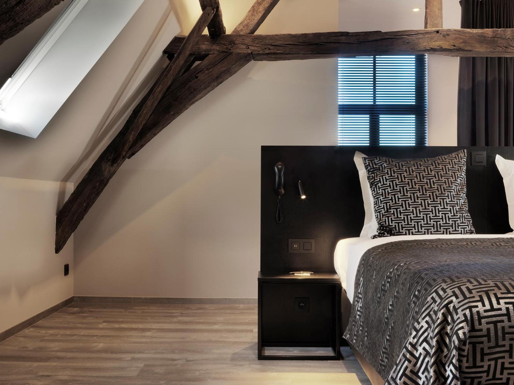 Suite - Photo 2