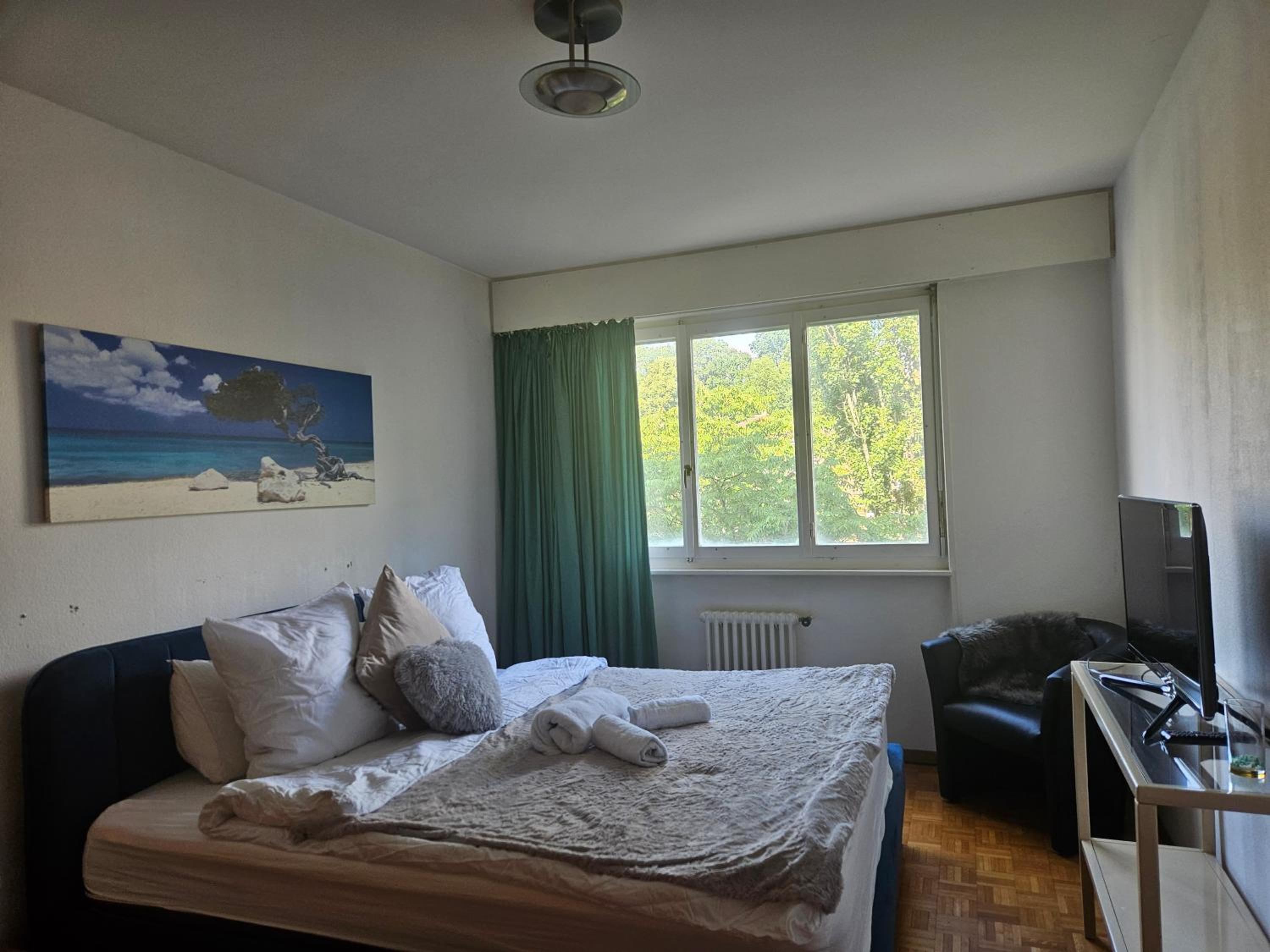 One-Bedroom Apartment photo 2