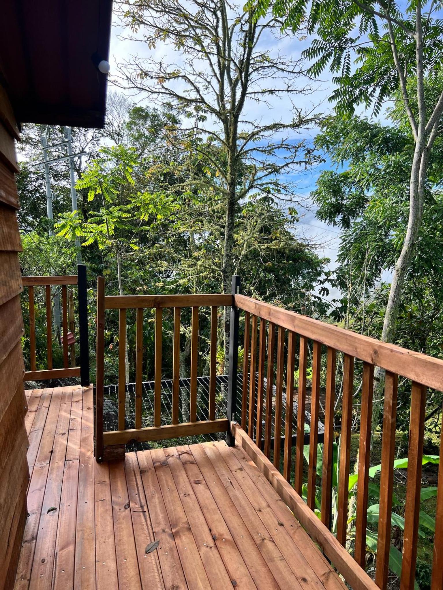 One-Bedroom Chalet photo 2