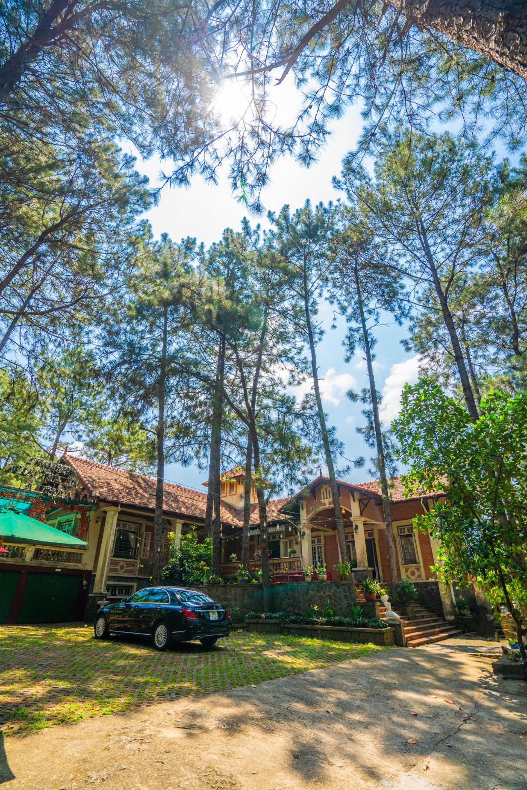 Three-Bedroom Villa photo 2