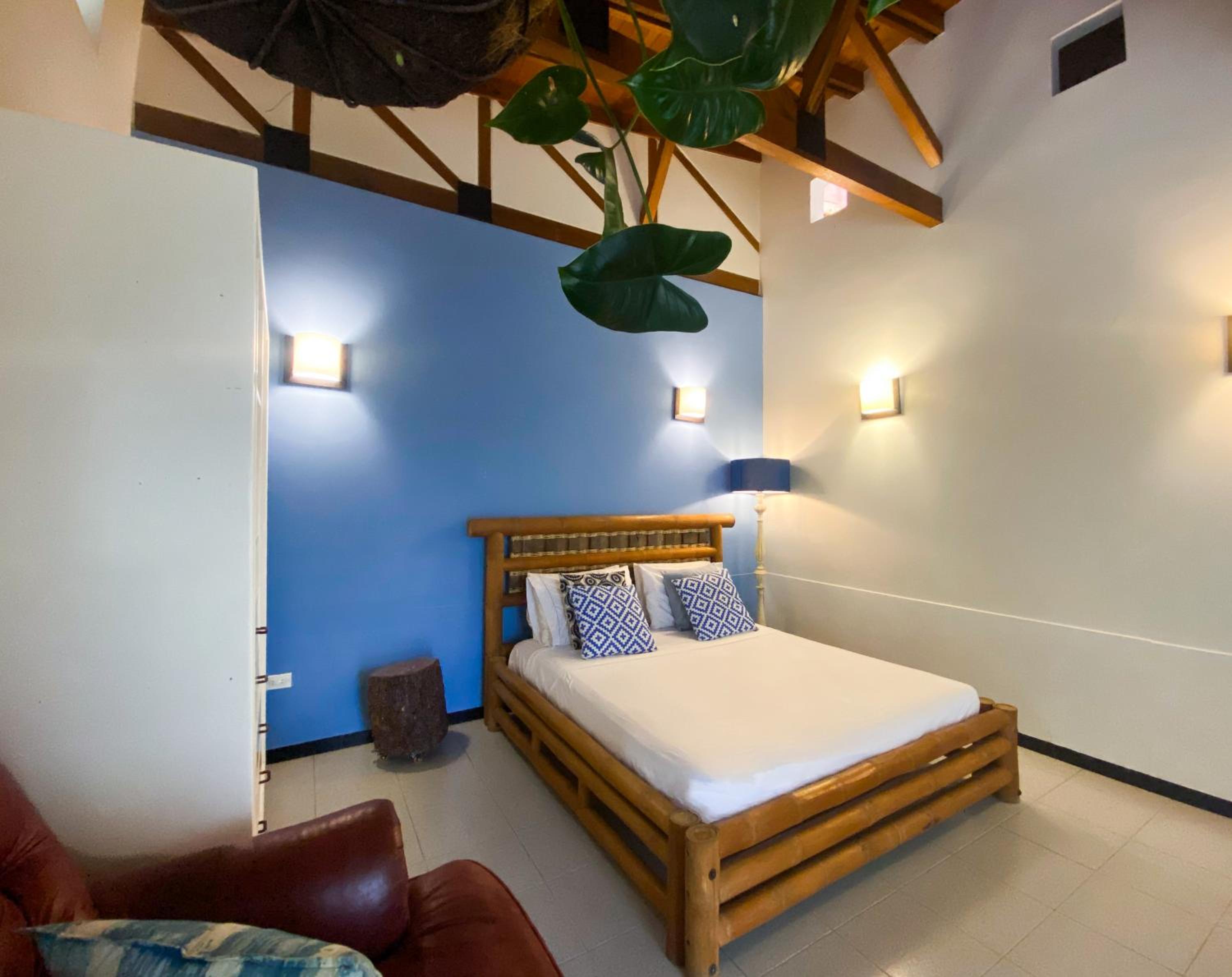 Double or Twin Room photo 1