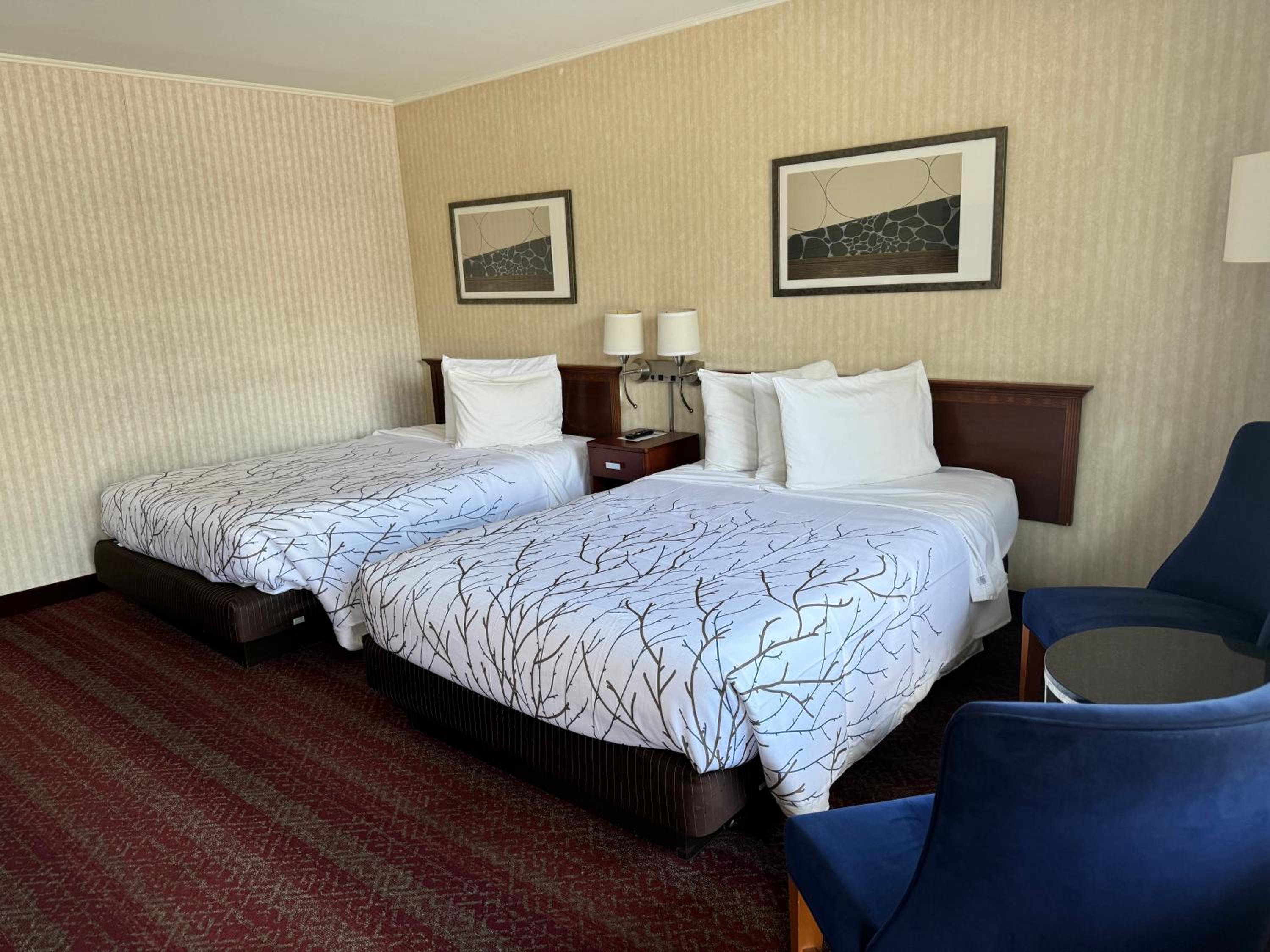 Double Room with Two Double Beds