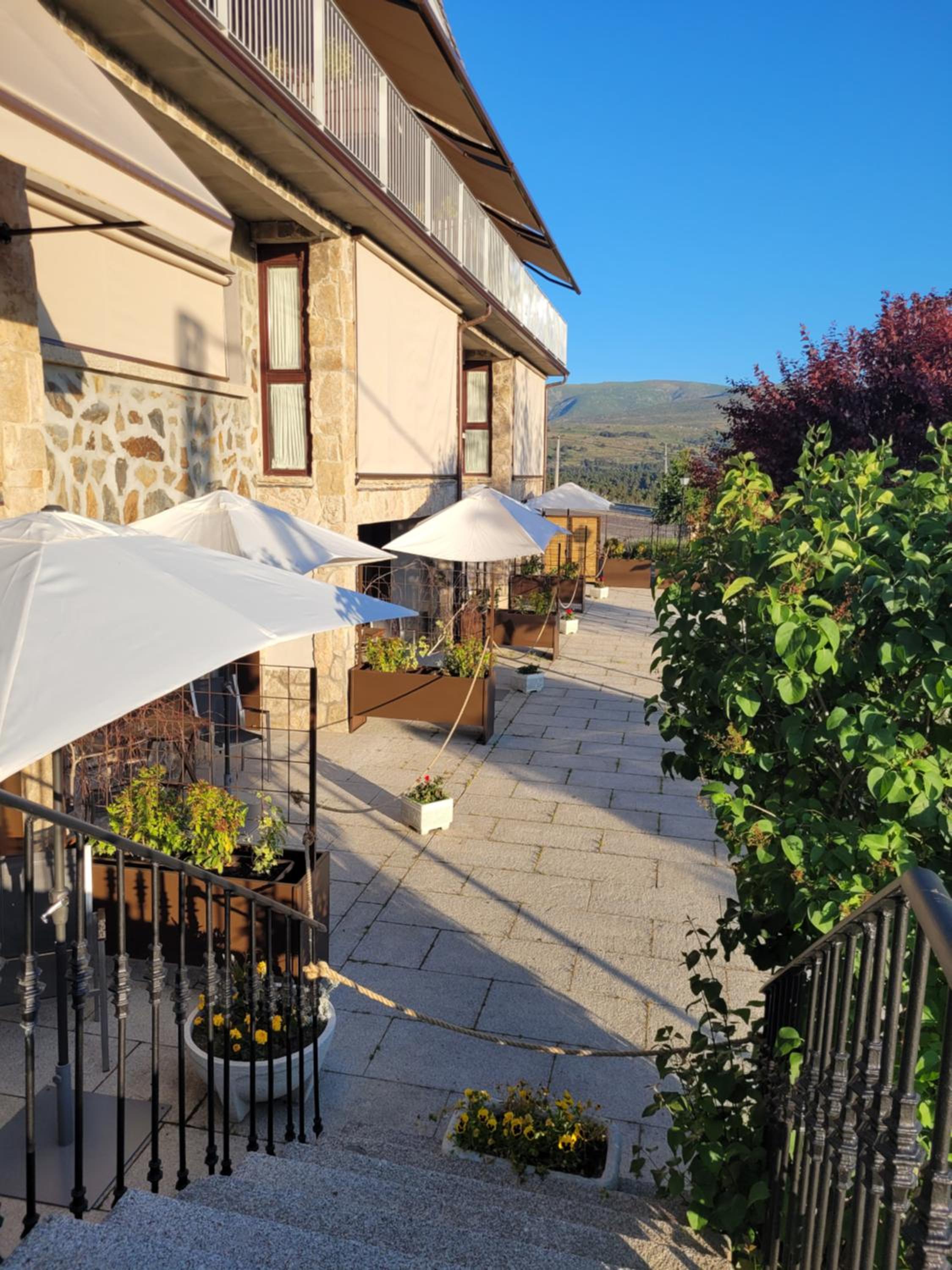 Suite with Mountain View photo 3