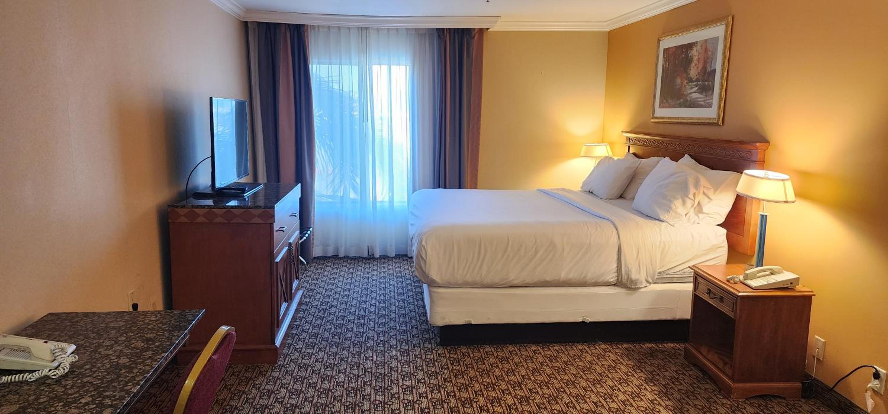 King Room - Photo 4