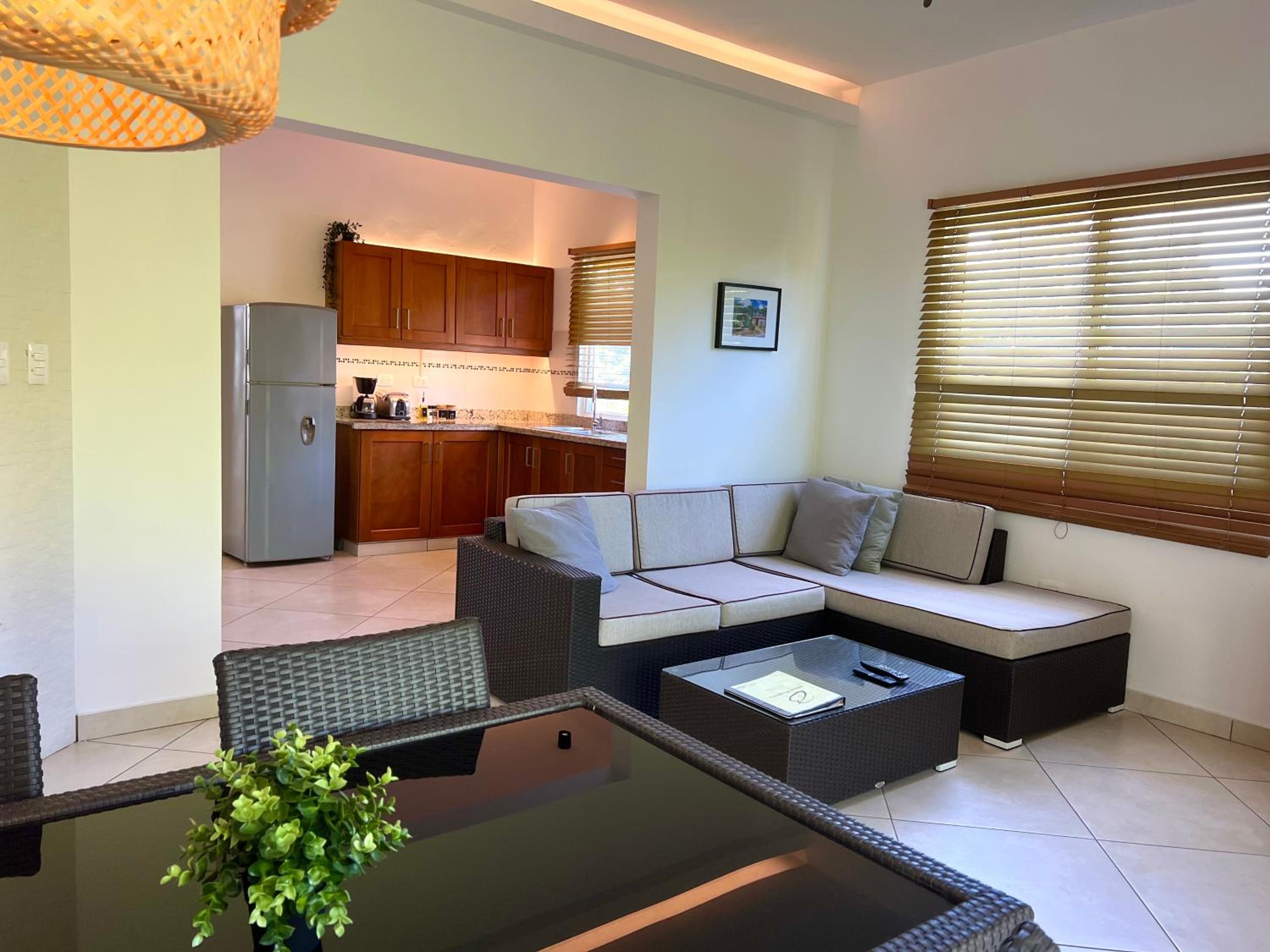 Penthouse Apartment 1