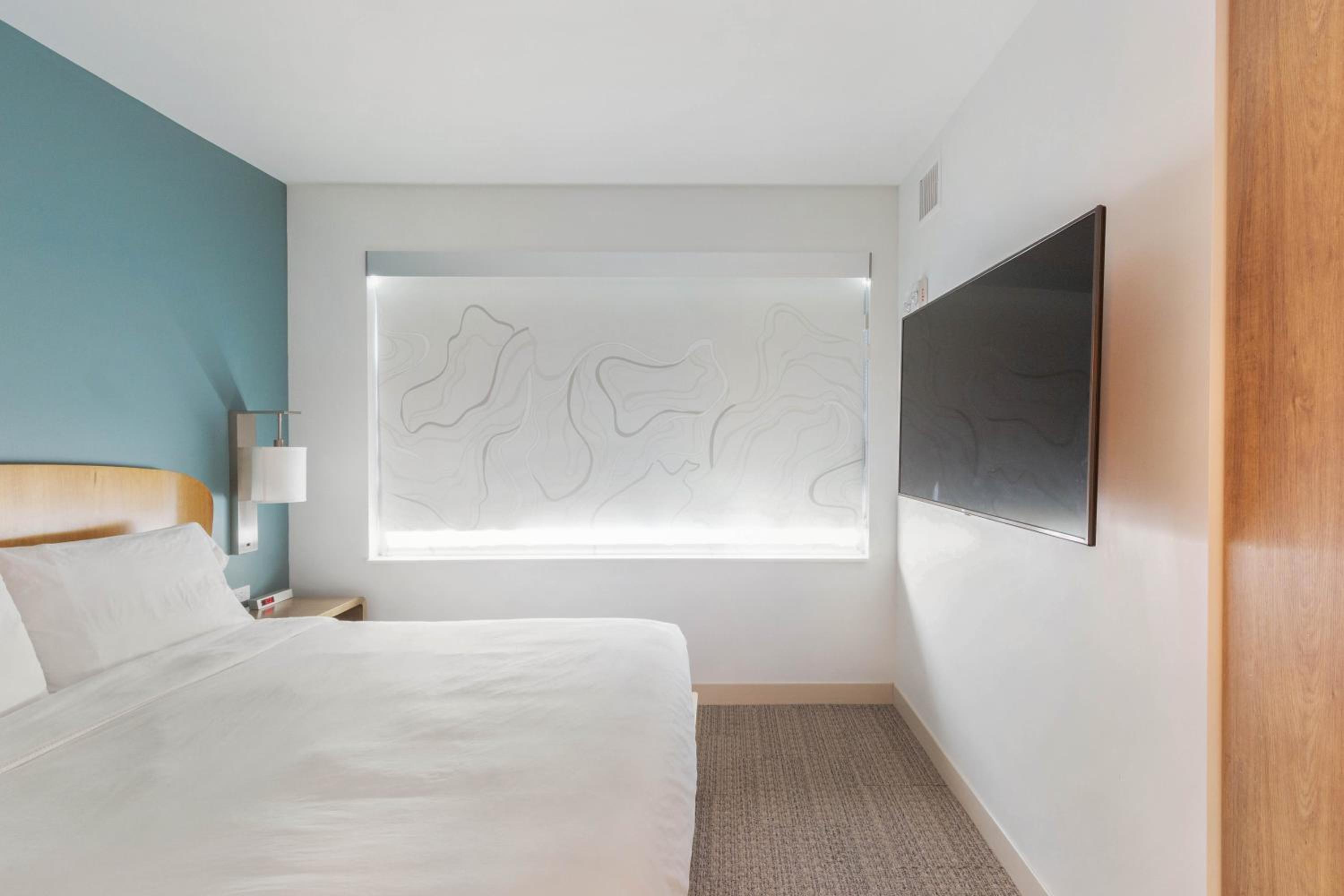 1 Bedroom Suite, 1 King, Sofa bed - Photo 1