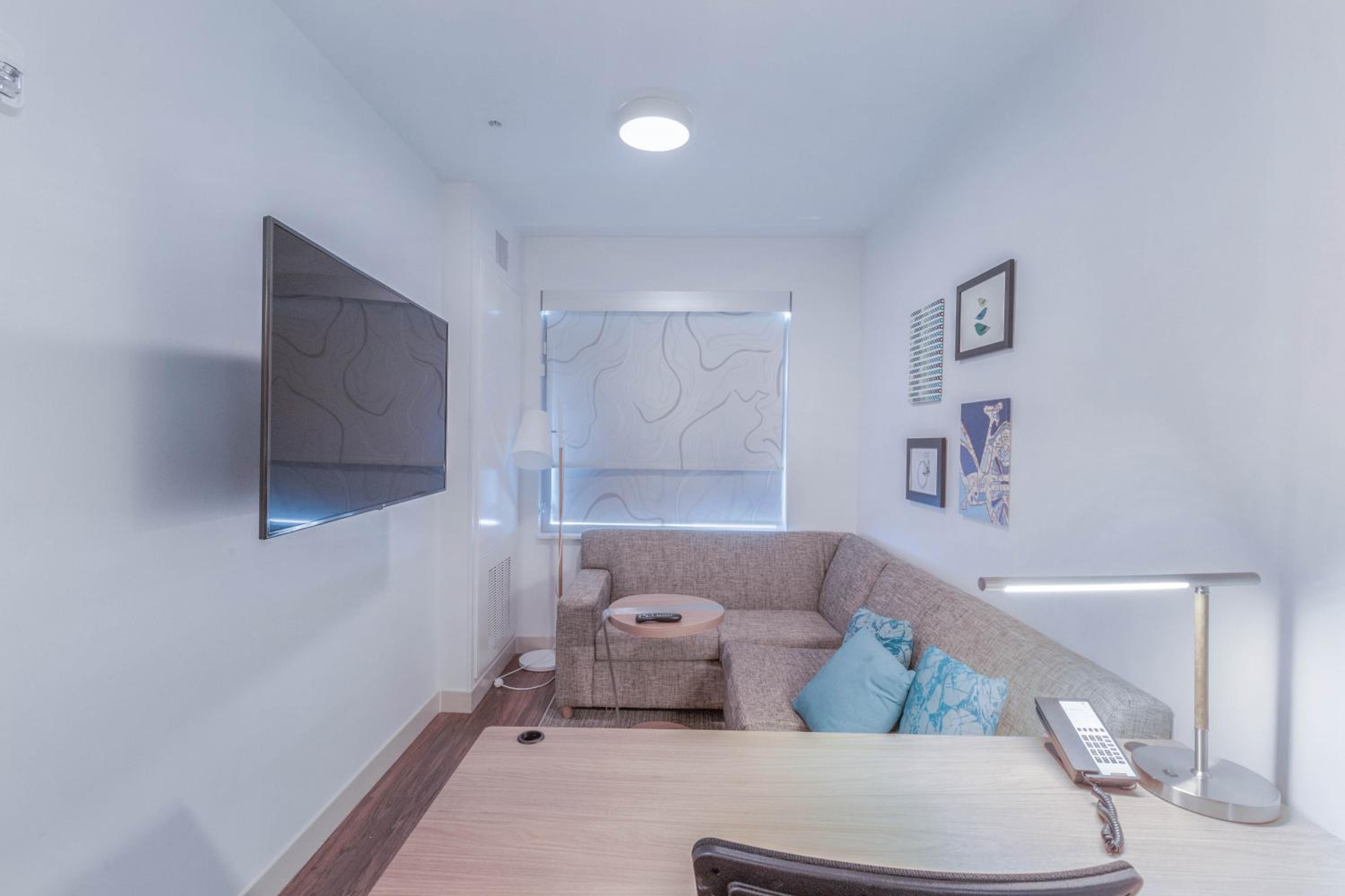 Executive Suite, 1 King, Sofa bed