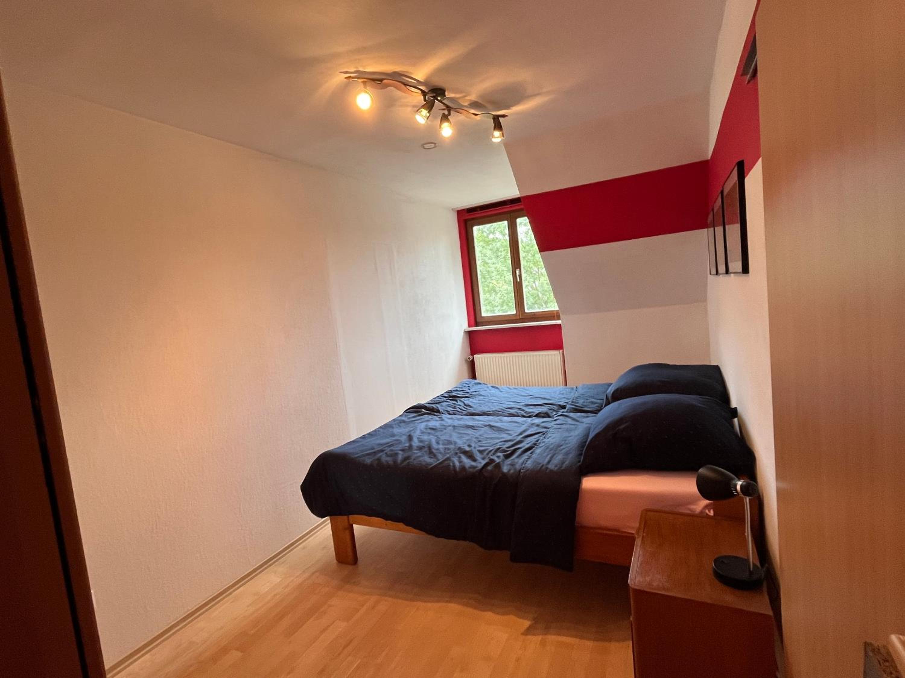 One-Bedroom Apartment photo 3