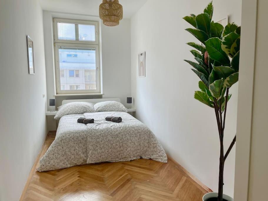 Four-Bedroom Deluxe Apartment