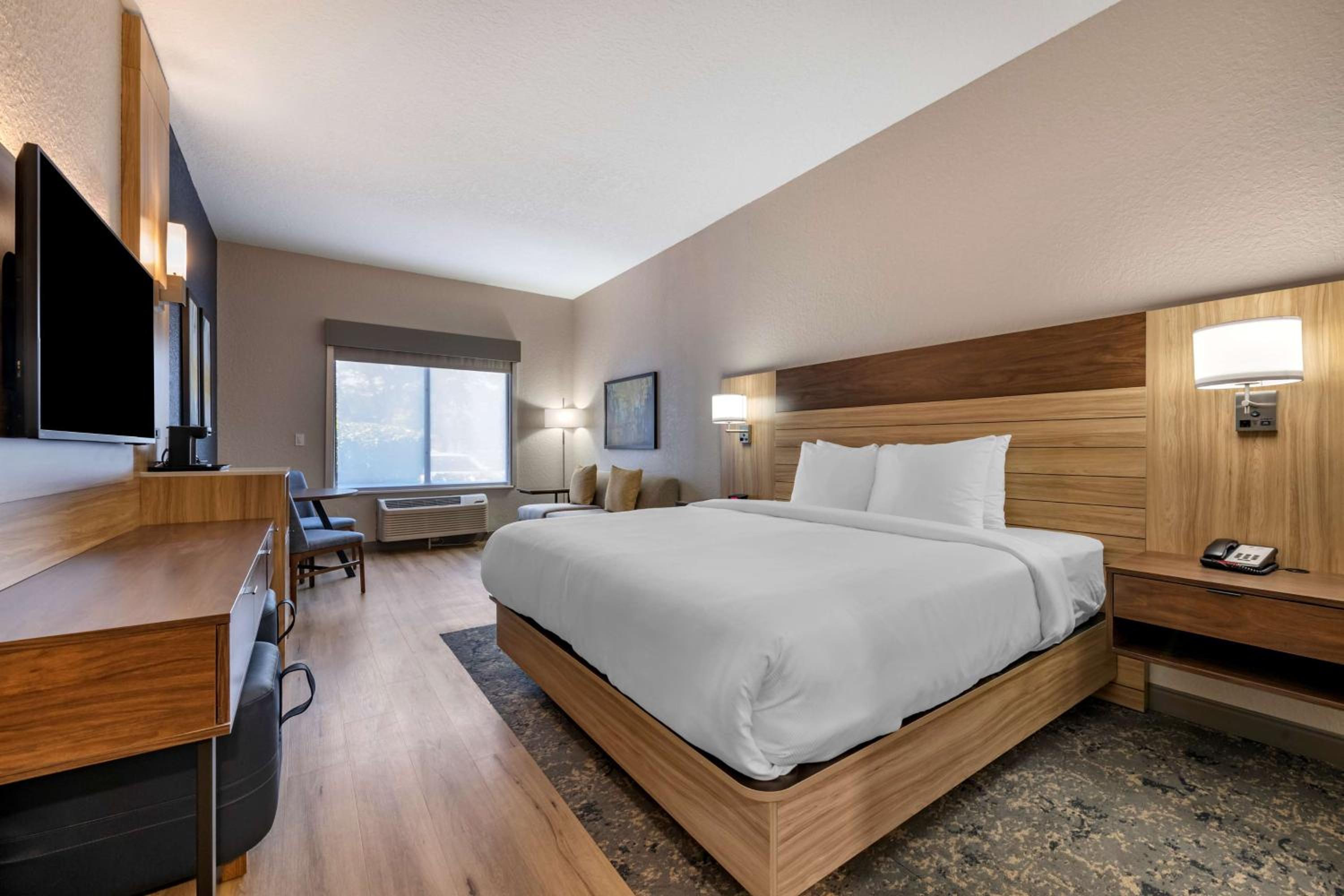King Room with Mobility Accessible Roll-In Shower