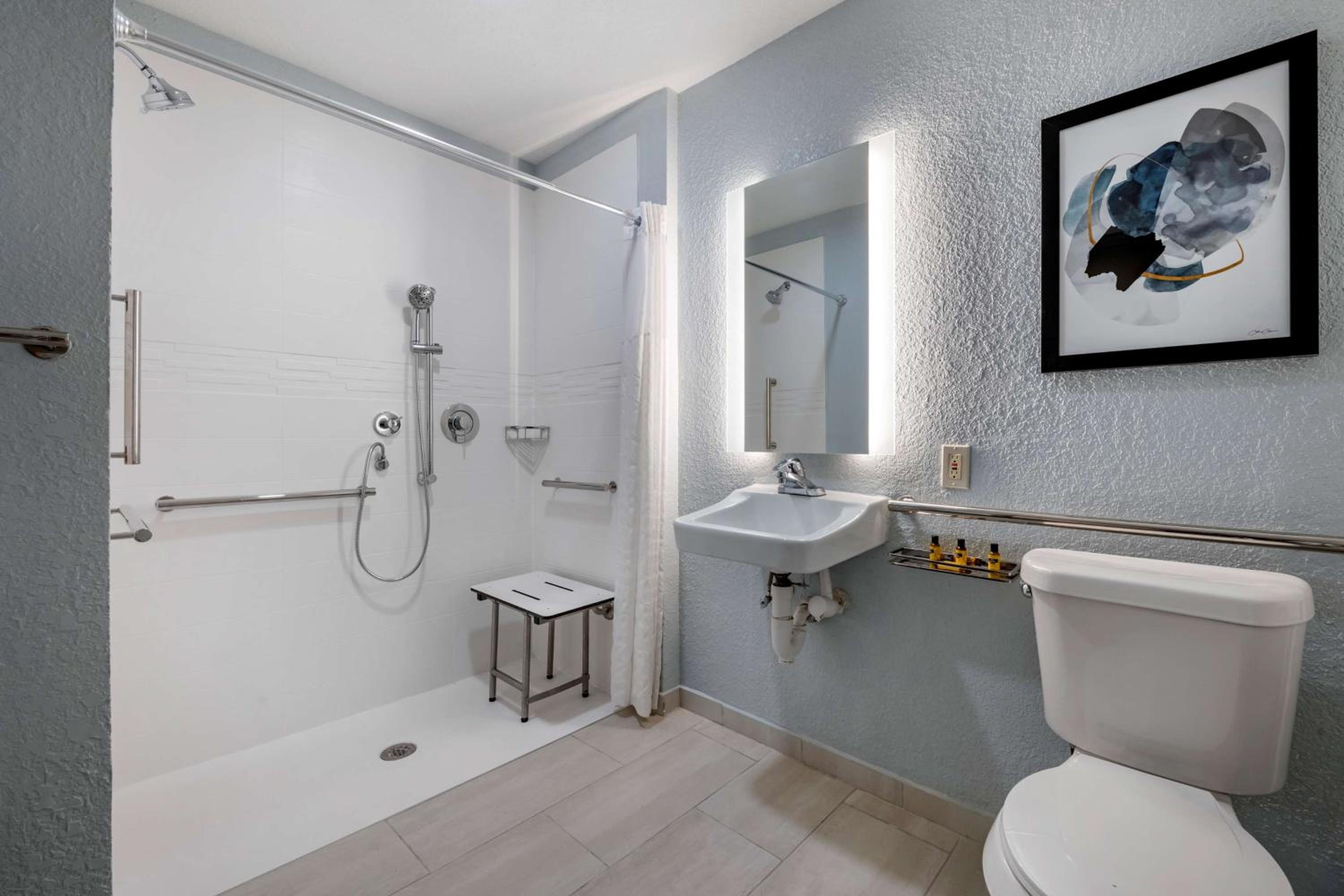King Room with Mobility Accessible Roll-In Shower