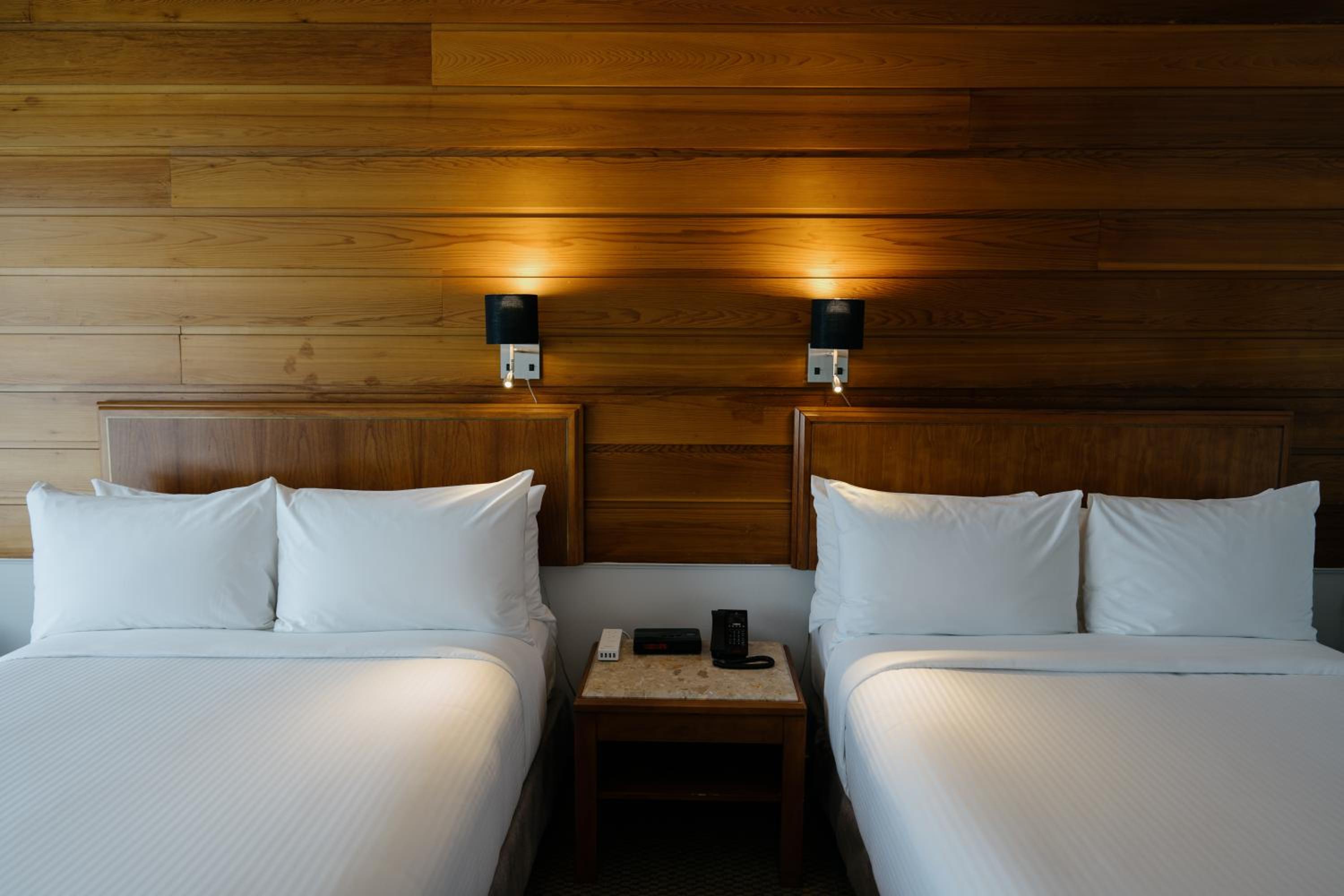 Business Double Room photo 1