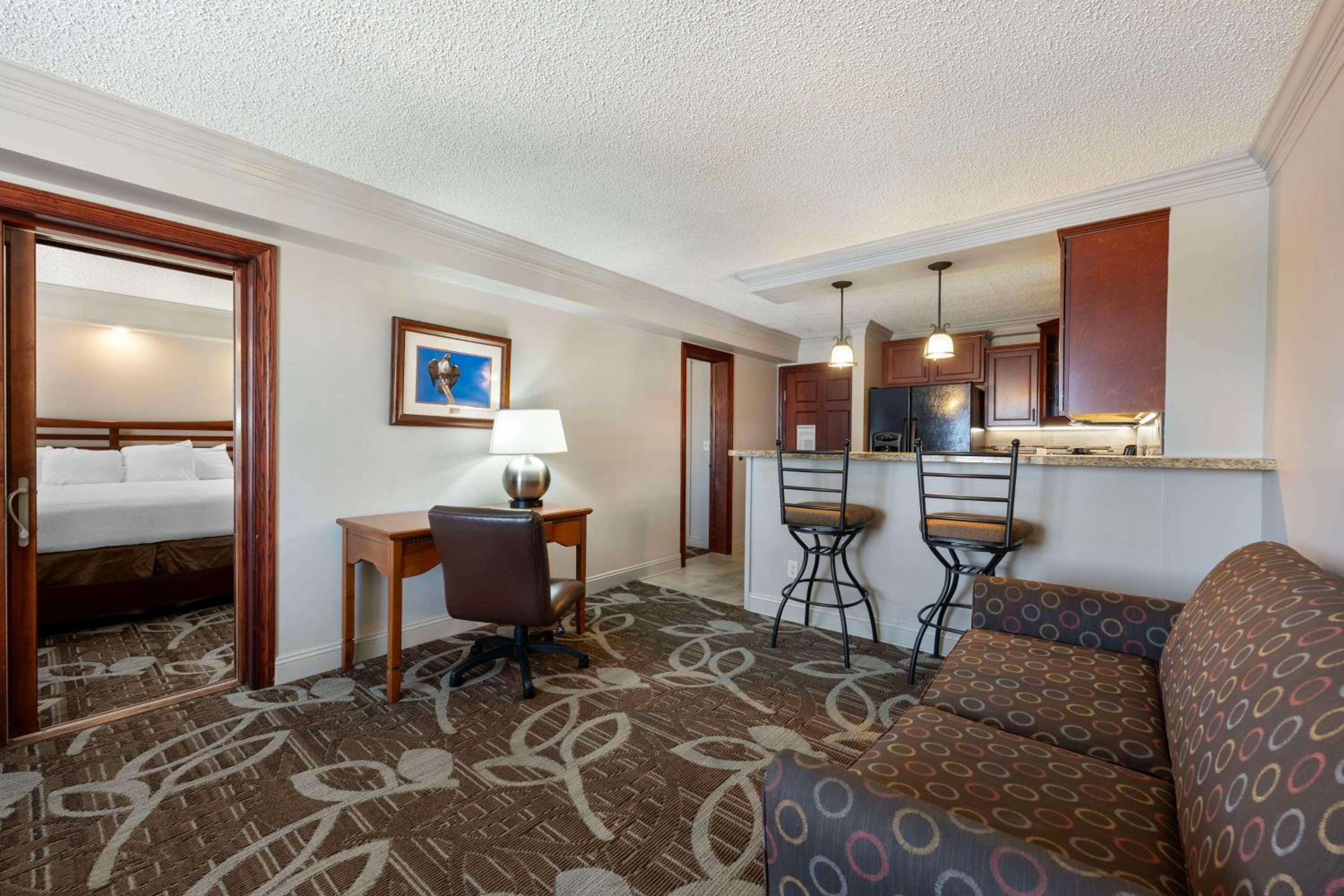 King Suite with Sofa Bed and Kitchen photo 3