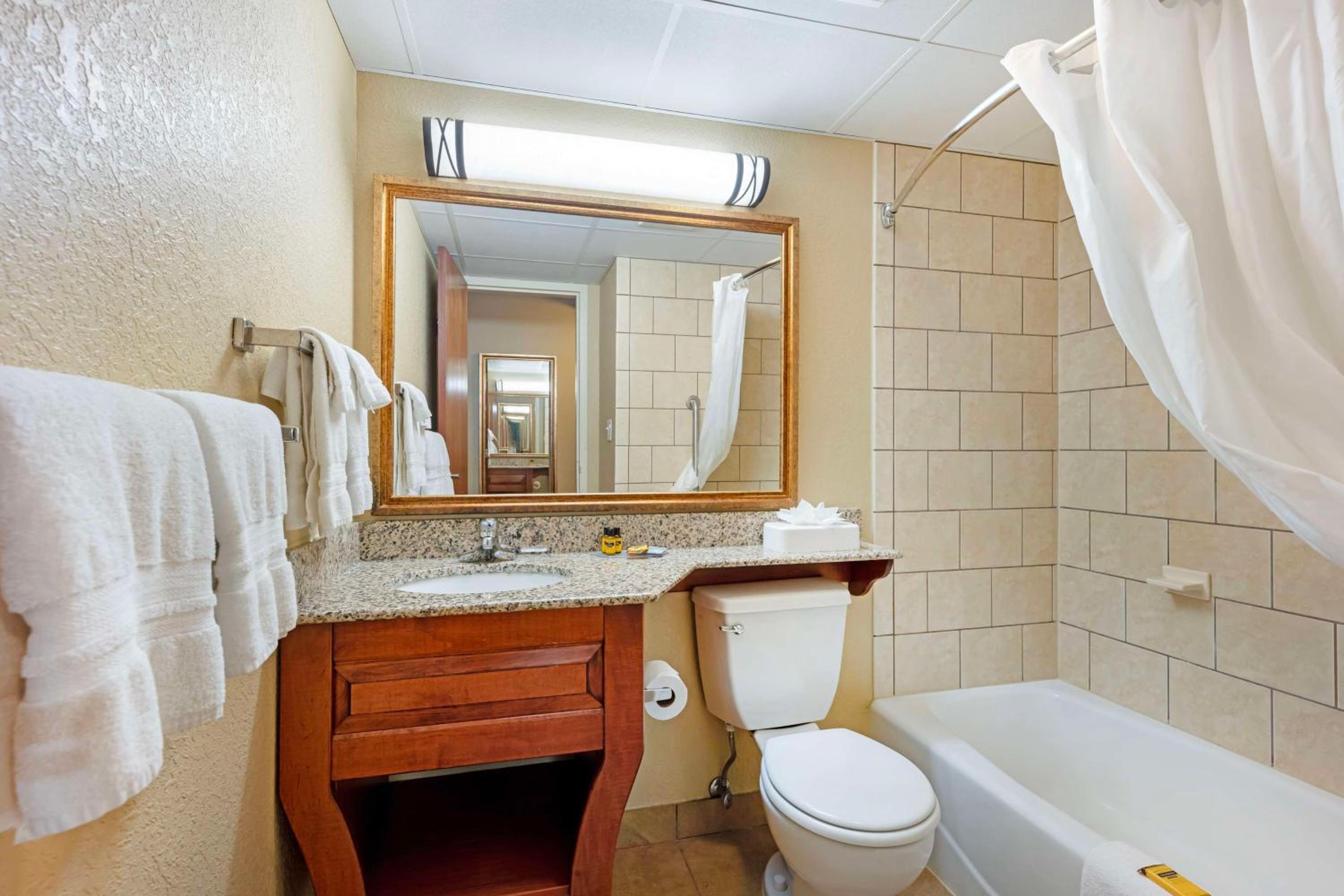 King Room - Non-Smoking photo 3